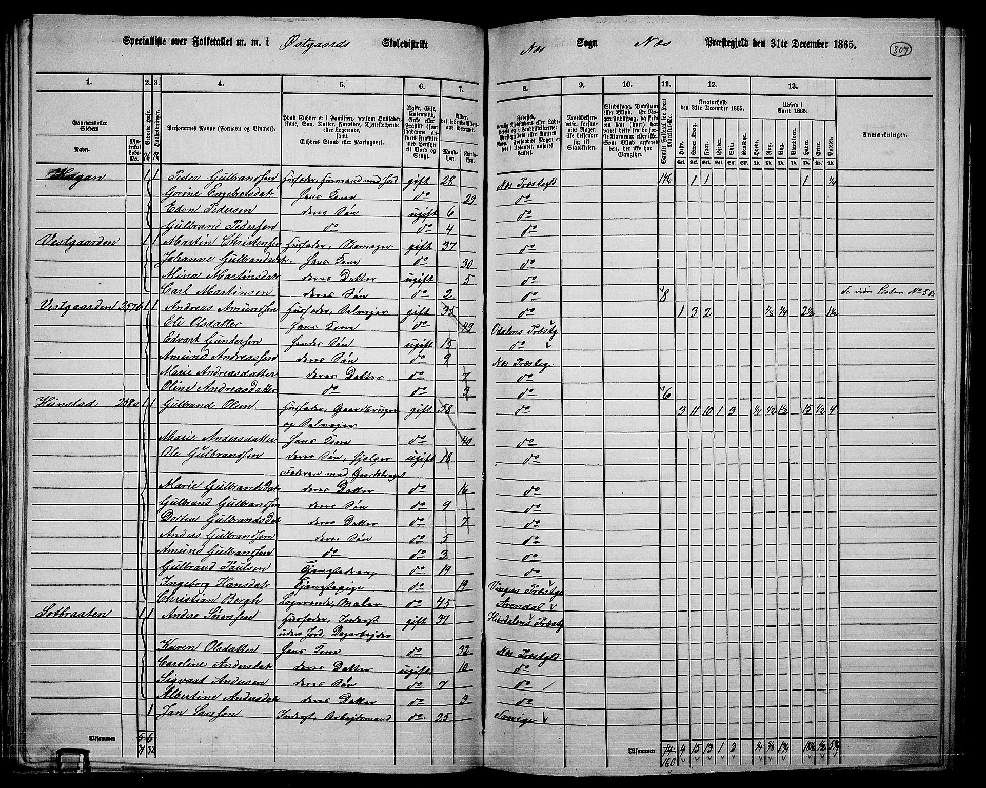 RA, 1865 census for Nes, 1865, p. 282