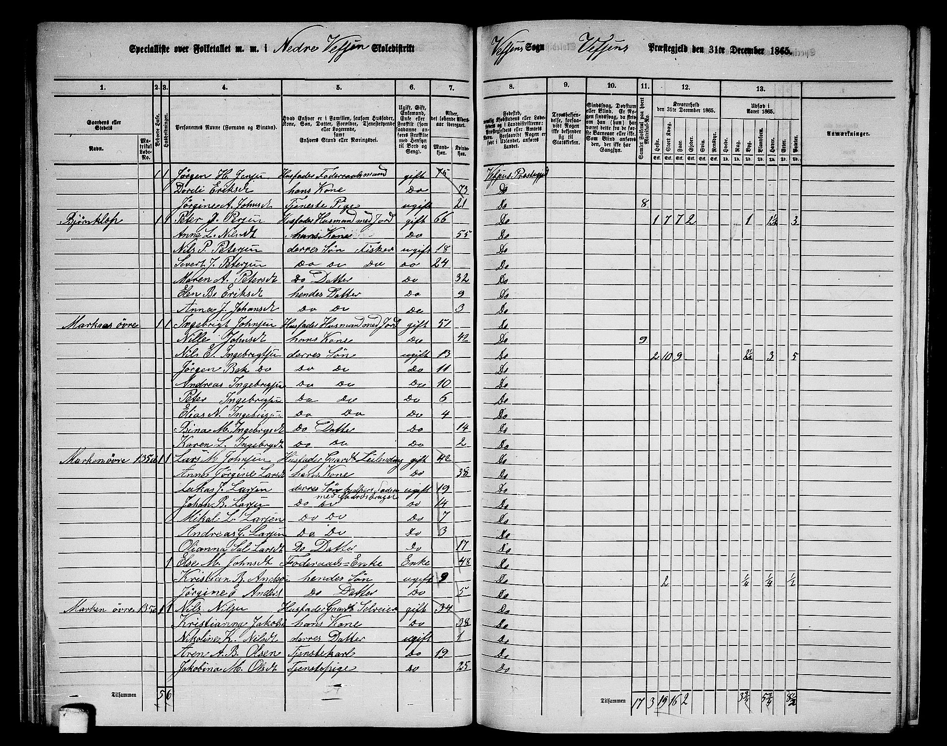 RA, 1865 census for Vefsn, 1865, p. 78