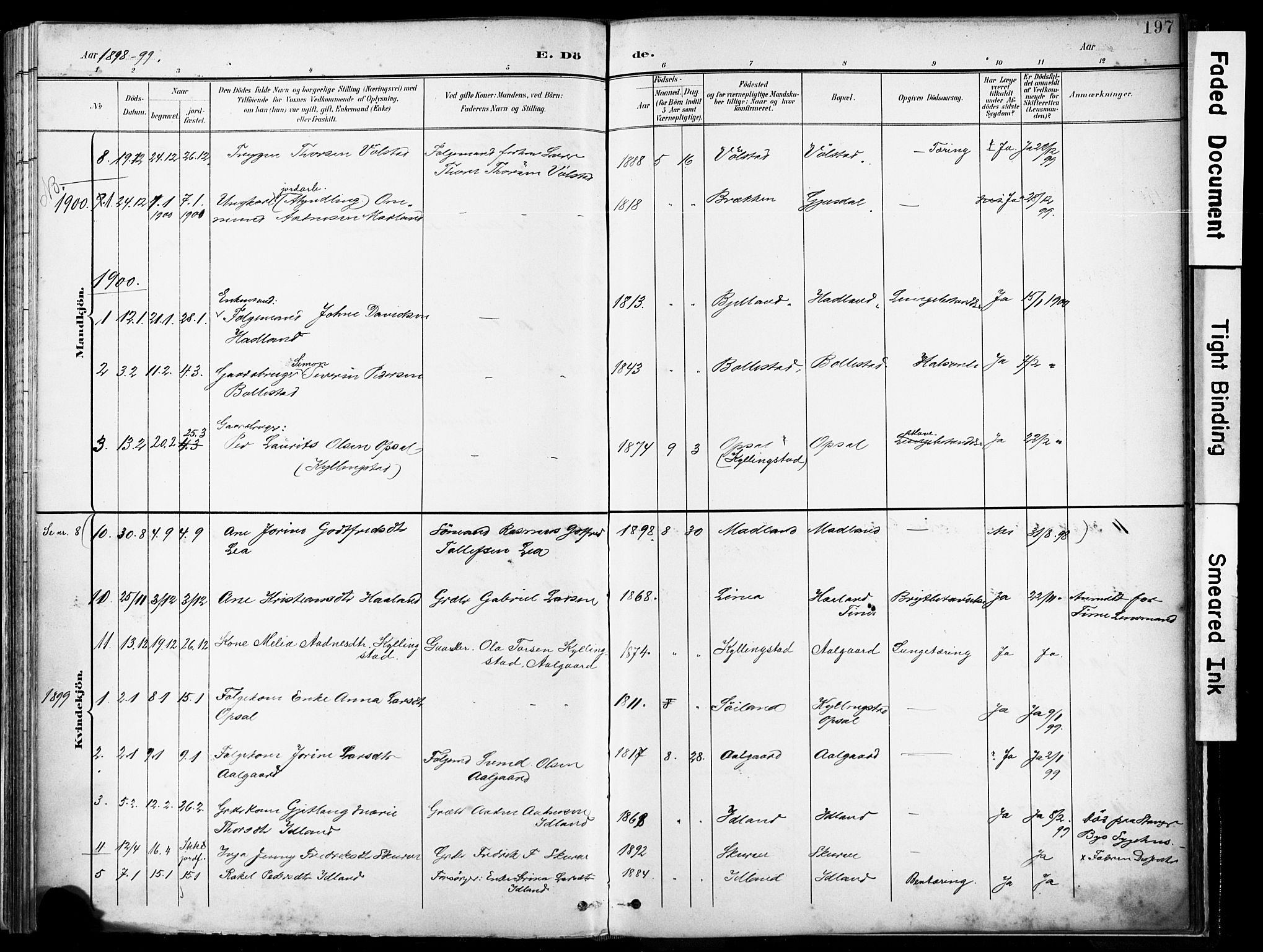 Lye sokneprestkontor, AV/SAST-A-101794/001/30BA/L0012: Parish register (official) no. A 11, 1896-1909, p. 197