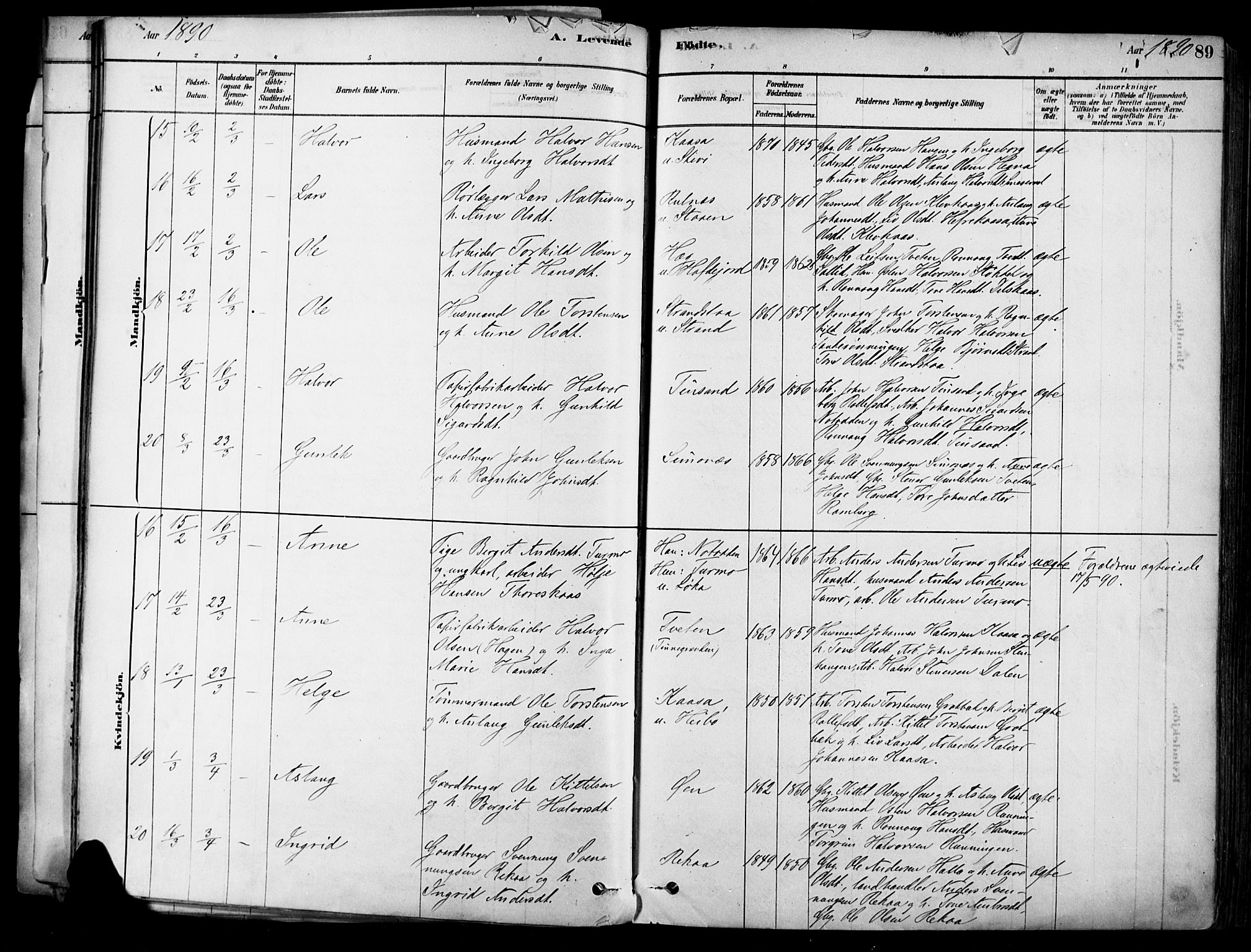 Heddal kirkebøker, AV/SAKO-A-268/F/Fa/L0008: Parish register (official) no. I 8, 1878-1903, p. 89