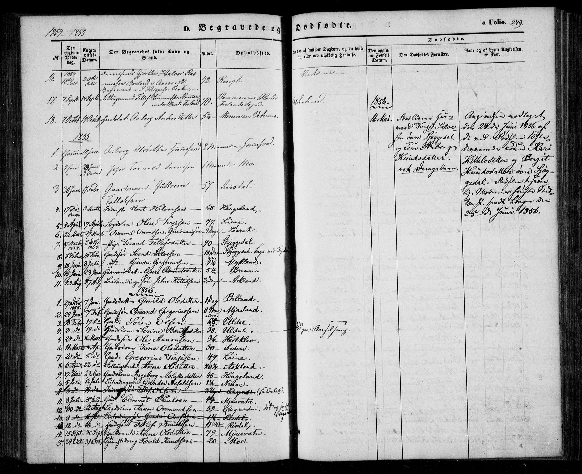 Åmli sokneprestkontor, AV/SAK-1111-0050/F/Fa/Fac/L0008: Parish register (official) no. A 8, 1852-1869, p. 249