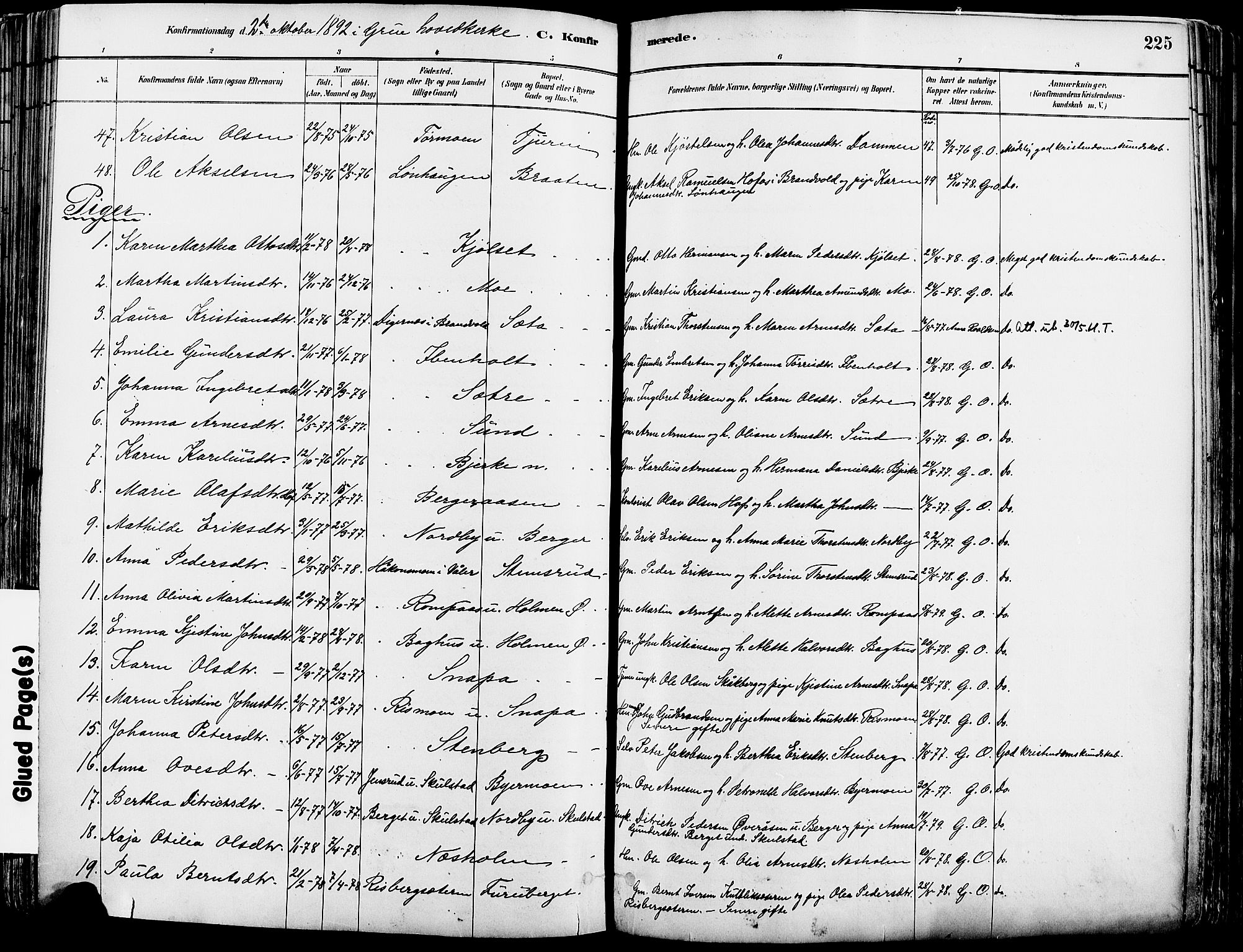 Grue prestekontor, AV/SAH-PREST-036/H/Ha/Haa/L0012: Parish register (official) no. 12, 1881-1897, p. 225