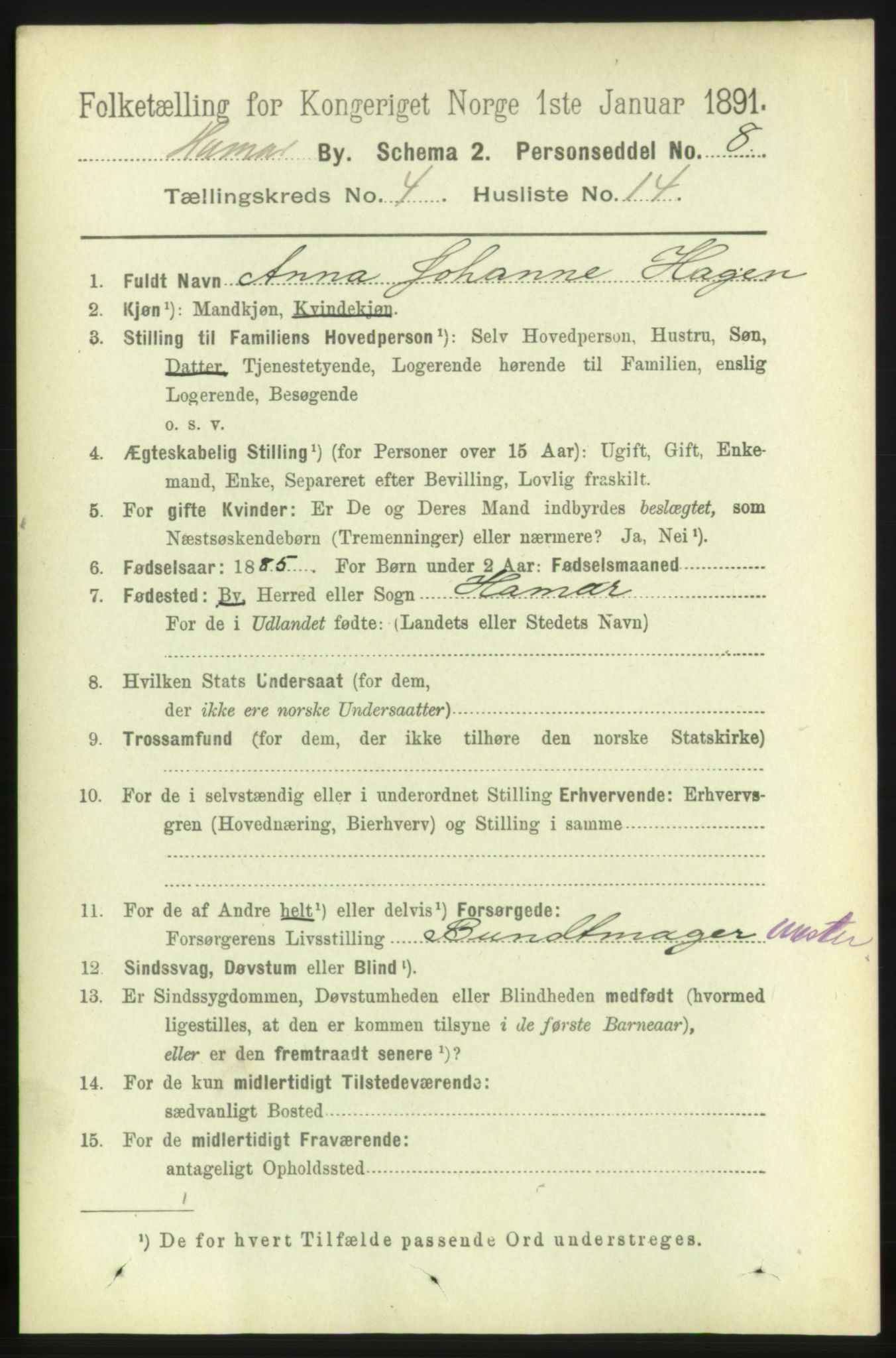 RA, 1891 census for 0401 Hamar, 1891, p. 3033