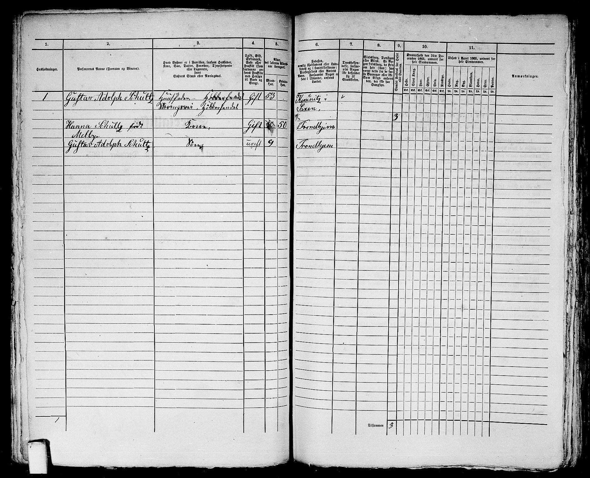 RA, 1865 census for Trondheim, 1865, p. 724