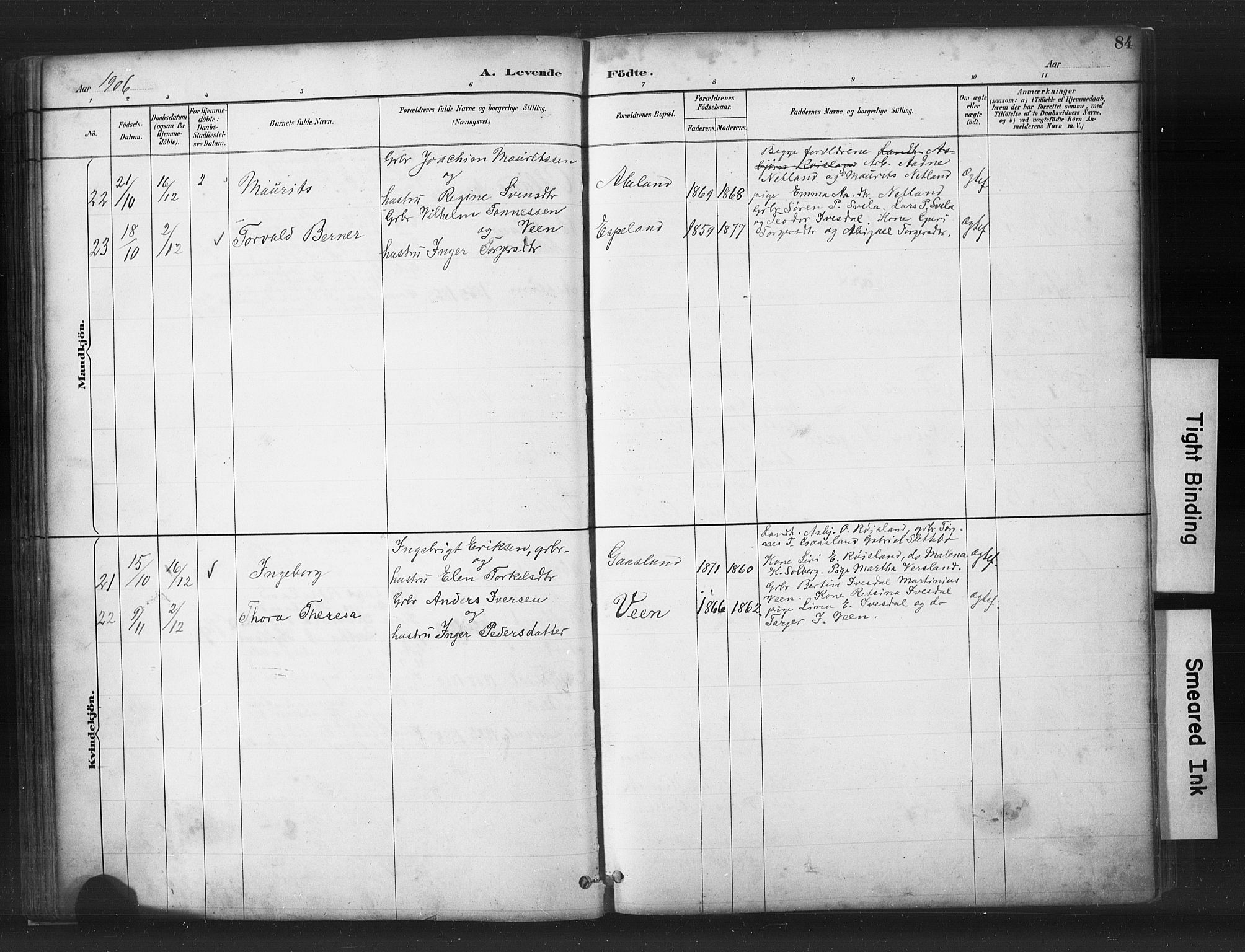 Helleland sokneprestkontor, AV/SAST-A-101810: Parish register (copy) no. B 5, 1887-1908, p. 84