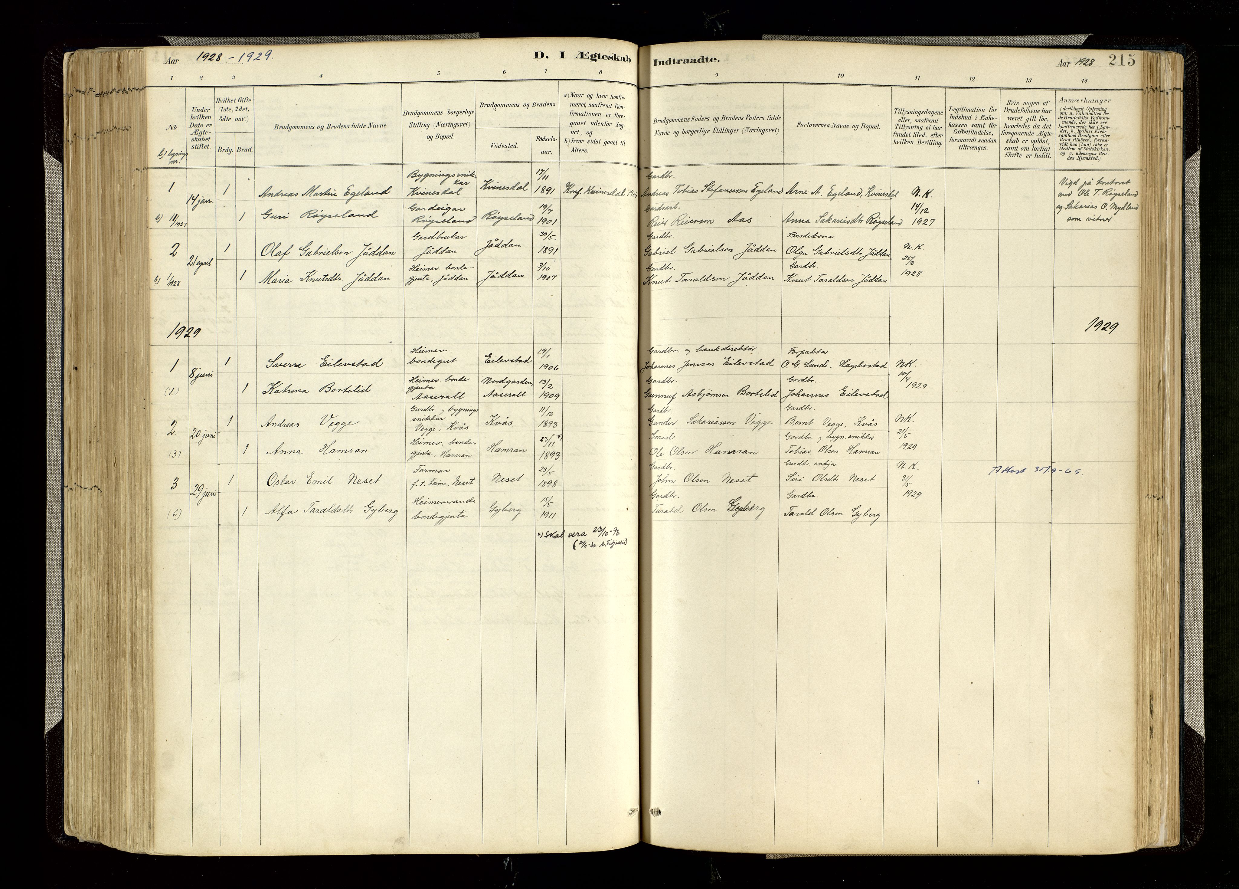Hægebostad sokneprestkontor, SAK/1111-0024/F/Fa/Faa/L0006: Parish register (official) no. A 6, 1887-1929, p. 215