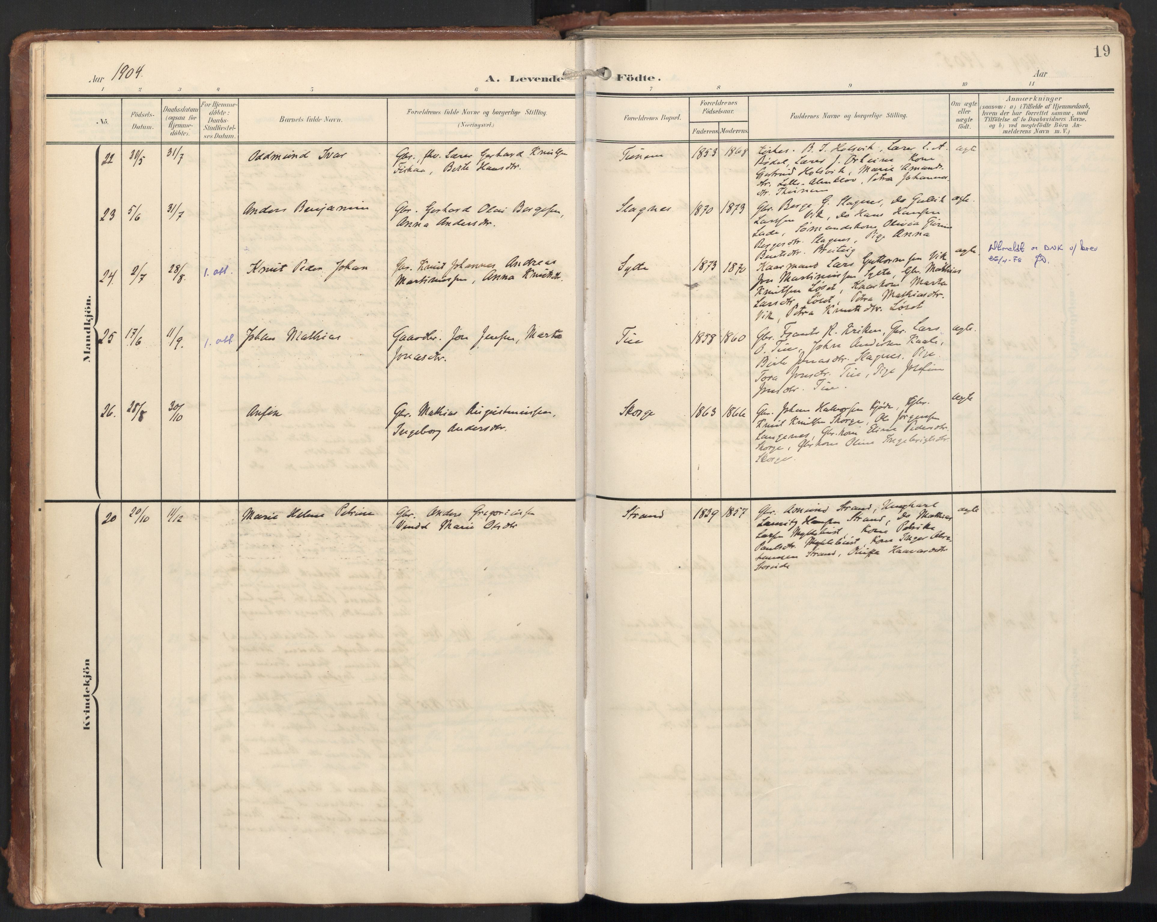 Ministerialprotokoller, klokkerbøker og fødselsregistre - Møre og Romsdal, AV/SAT-A-1454/501/L0011: Parish register (official) no. 501A11, 1902-1919, p. 19