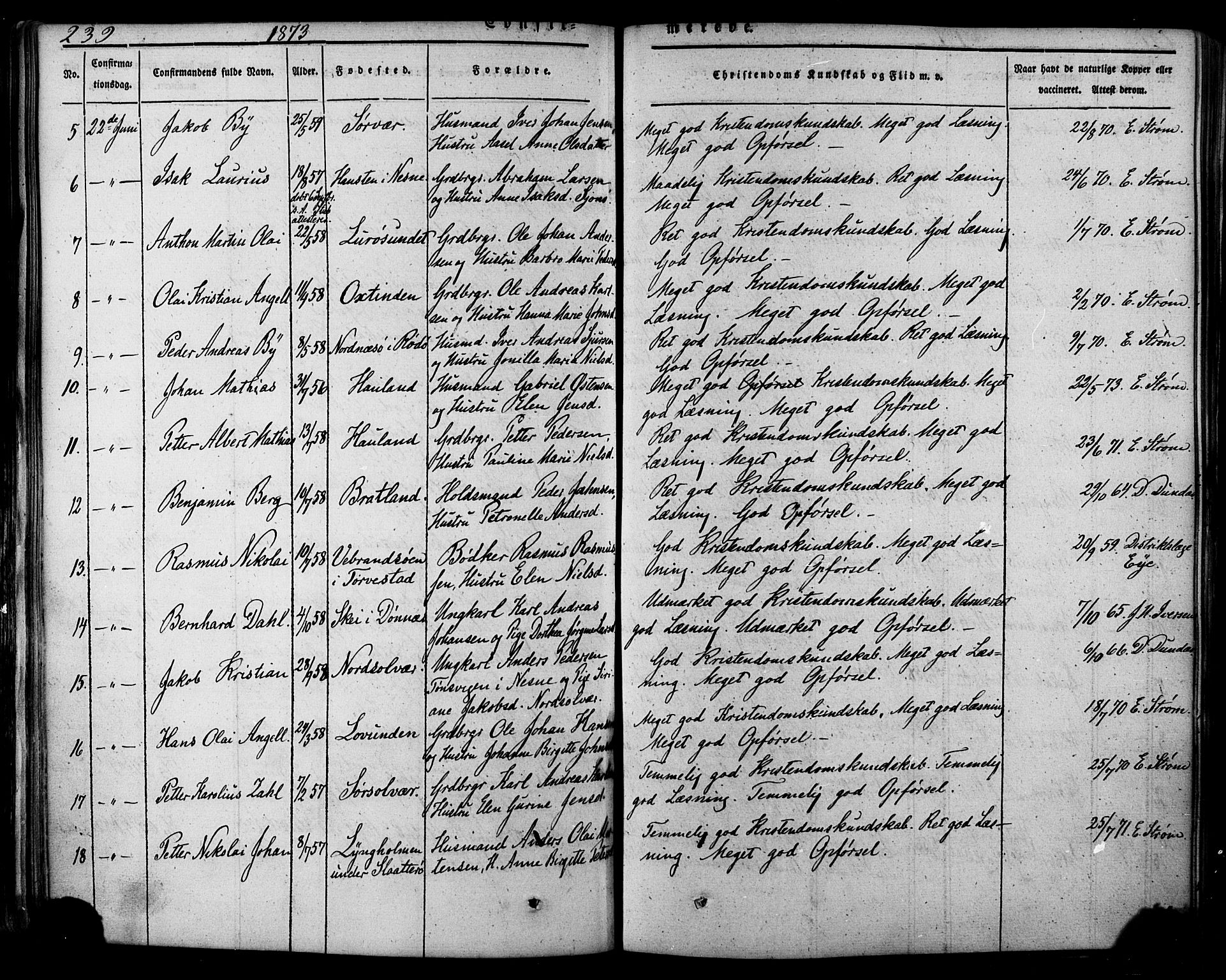 Ministerialprotokoller, klokkerbøker og fødselsregistre - Nordland, SAT/A-1459/839/L0567: Parish register (official) no. 839A04, 1863-1879, p. 239