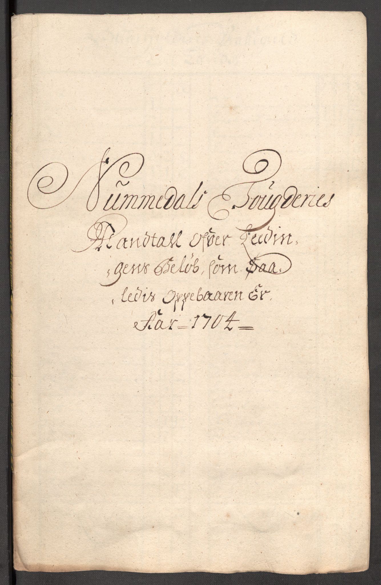 Rentekammeret inntil 1814, Reviderte regnskaper, Fogderegnskap, RA/EA-4092/R64/L4428: Fogderegnskap Namdal, 1703-1704, p. 311
