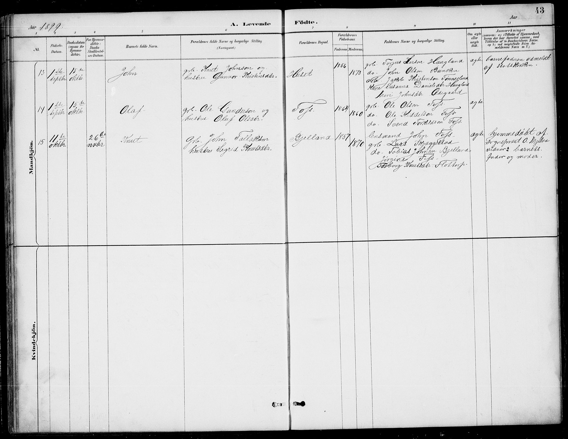 Bjelland sokneprestkontor, AV/SAK-1111-0005/F/Fb/Fba/L0005: Parish register (copy) no. B 5, 1887-1923, p. 43