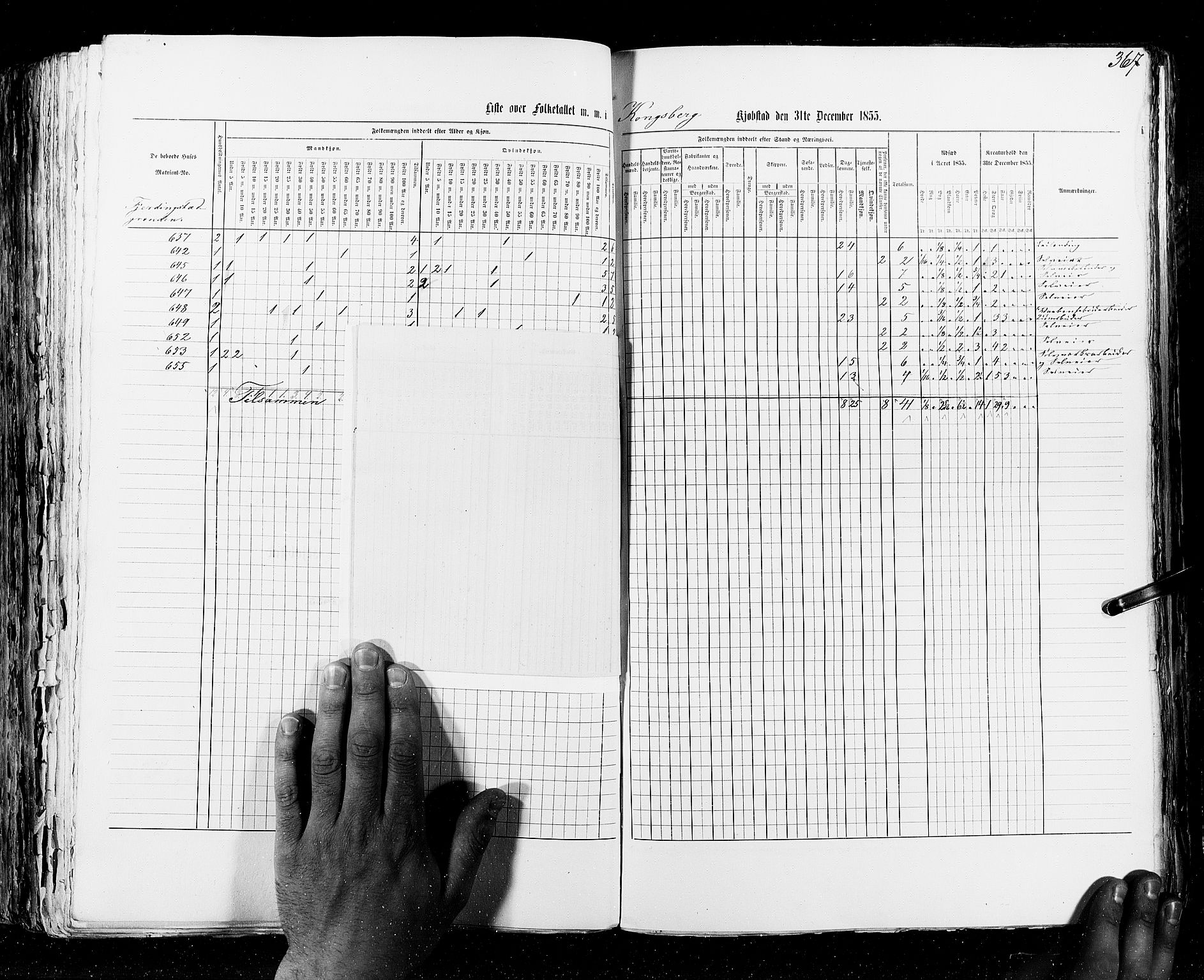 RA, Census 1855, vol. 7: Fredrikshald-Kragerø, 1855, p. 367