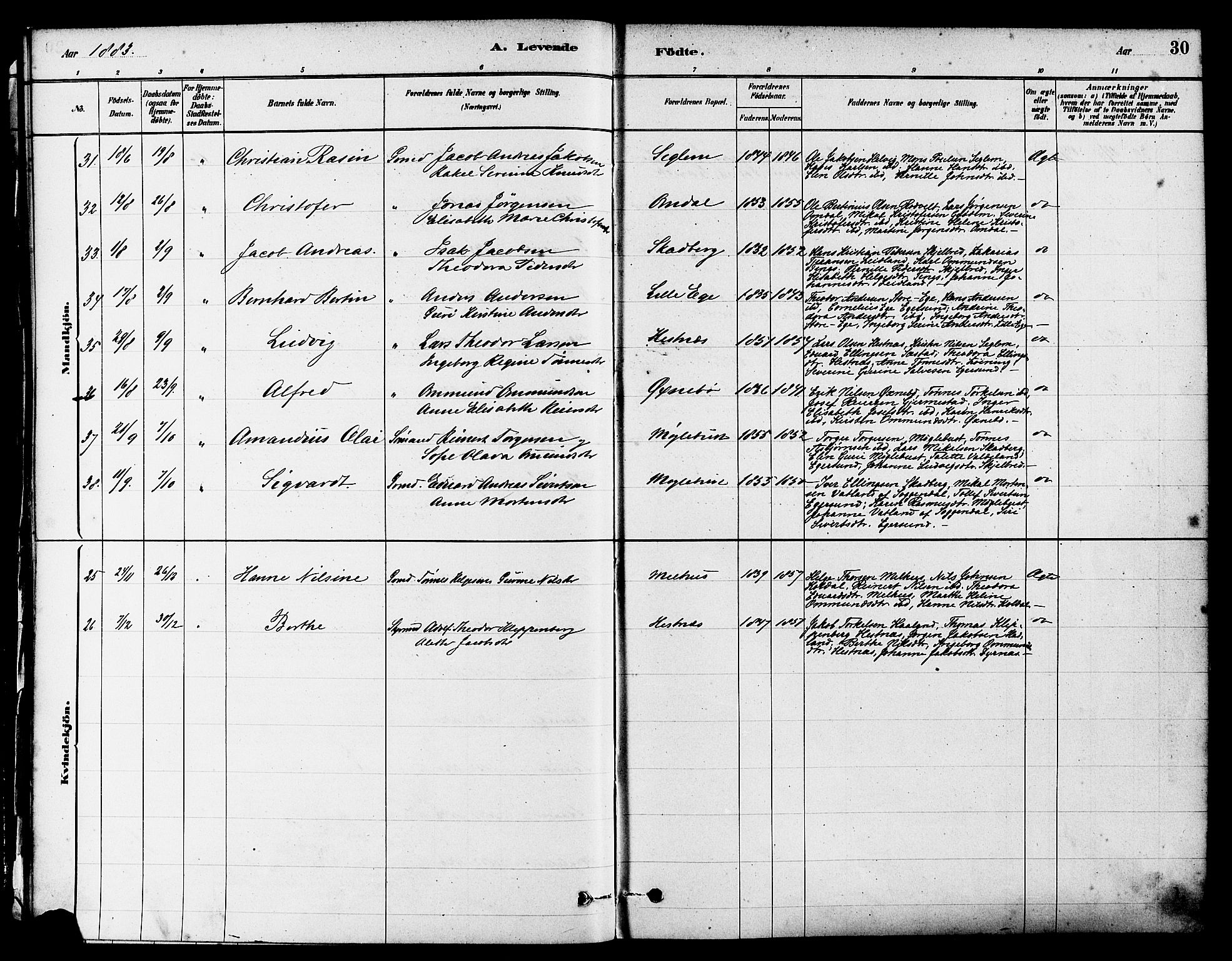 Eigersund sokneprestkontor, AV/SAST-A-101807/S08/L0017: Parish register (official) no. A 14, 1879-1892, p. 30