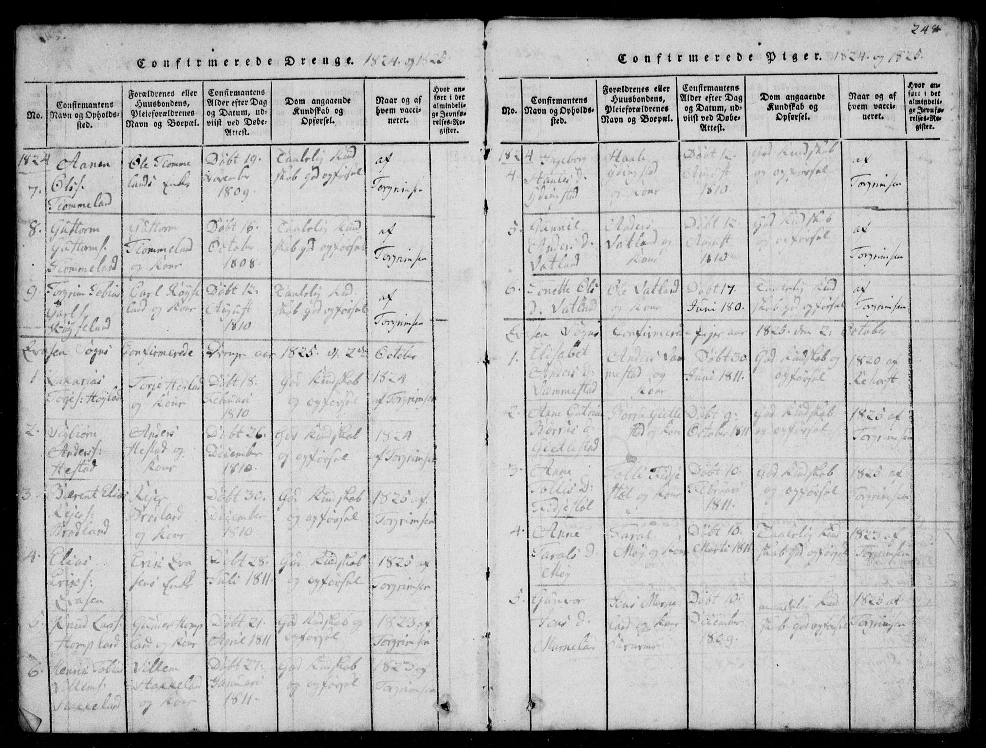 Lyngdal sokneprestkontor, AV/SAK-1111-0029/F/Fb/Fbb/L0001: Parish register (copy) no. B 1, 1816-1900, p. 248