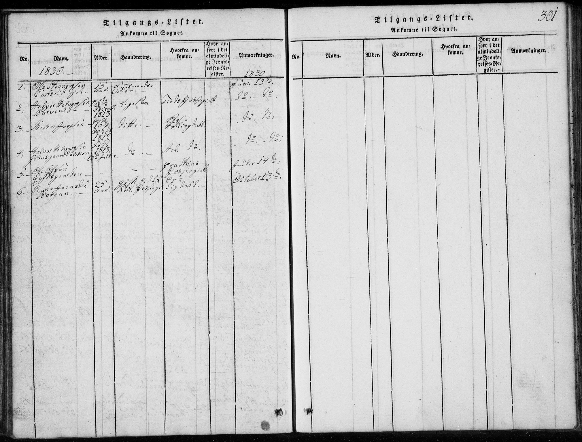 Rollag kirkebøker, SAKO/A-240/G/Ga/L0001: Parish register (copy) no. I 1, 1814-1831, p. 301