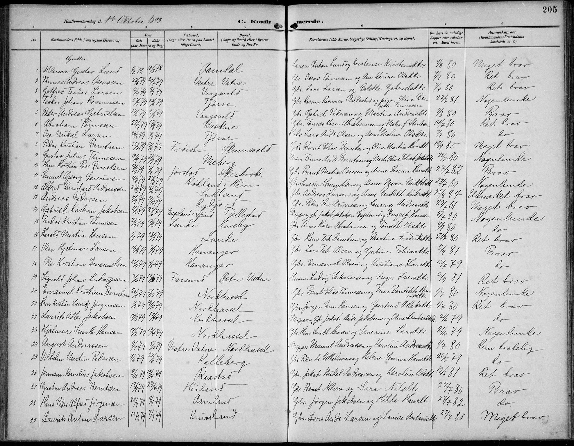 Lista sokneprestkontor, AV/SAK-1111-0027/F/Fb/L0005: Parish register (copy) no. B 5, 1892-1923, p. 205