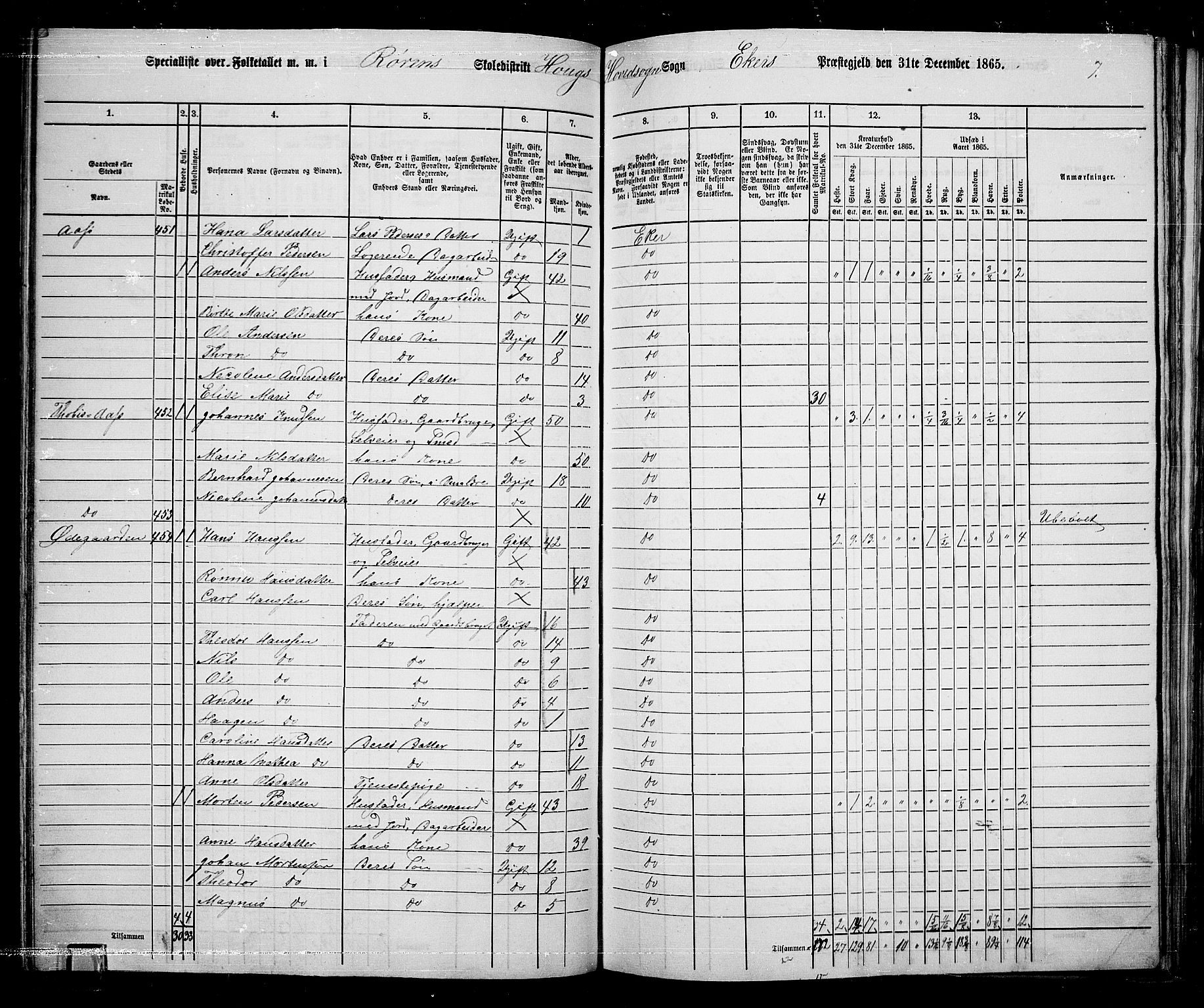 RA, 1865 census for Eiker, 1865, p. 111