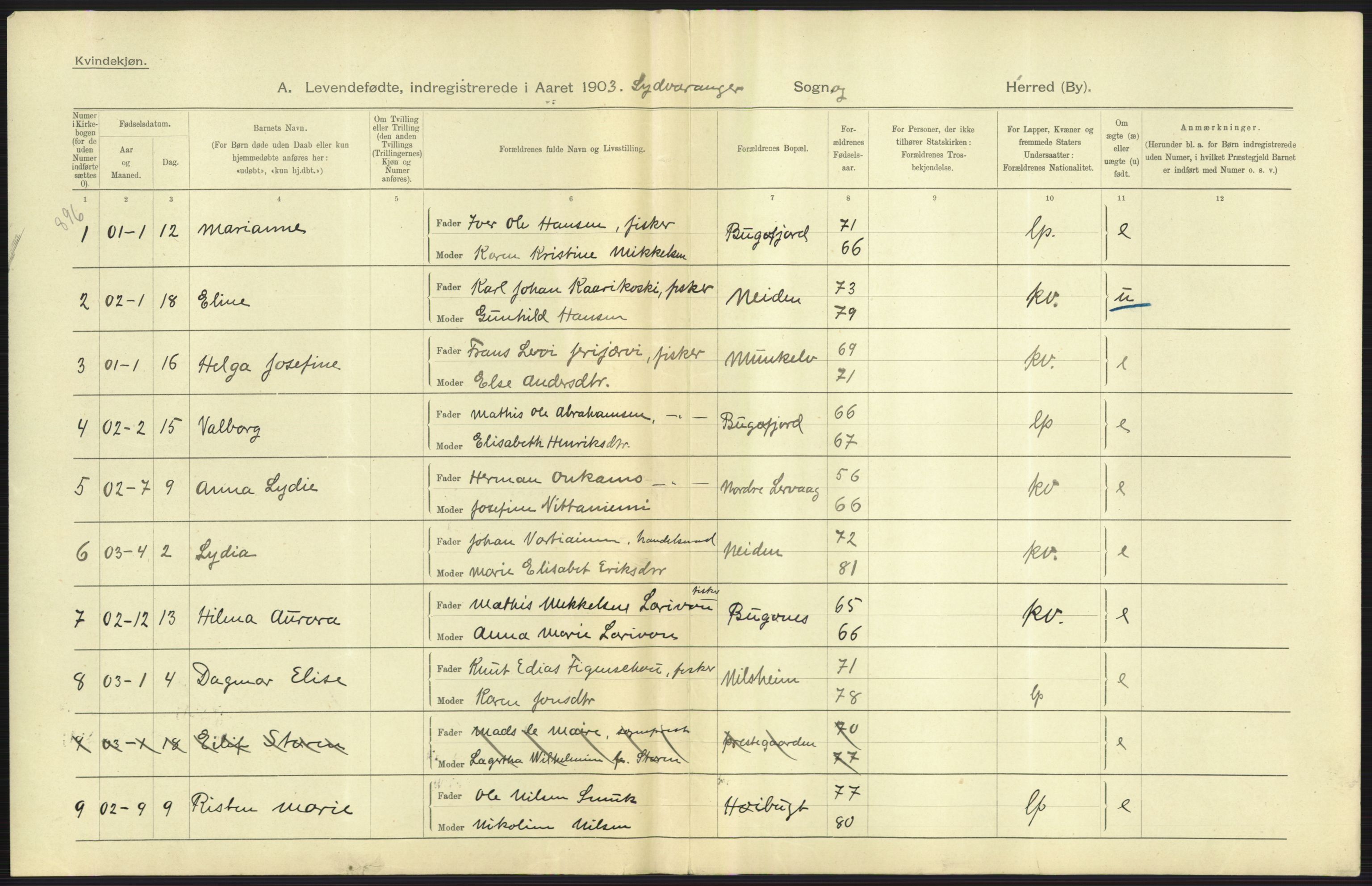 Statistisk sentralbyrå, Sosiodemografiske emner, Befolkning, AV/RA-S-2228/D/Df/Dfa/Dfaa/L0022: Finnmarkens amt: Fødte, gifte, døde., 1903, p. 13