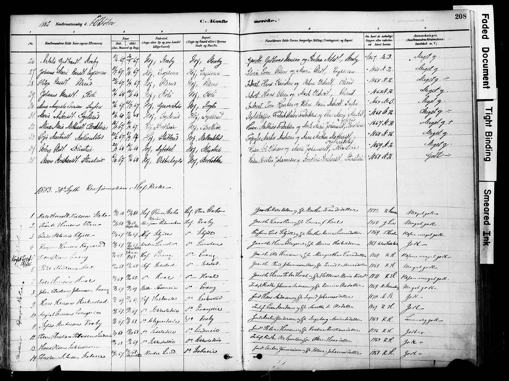 Østre Toten prestekontor, SAH/PREST-104/H/Ha/Haa/L0006: Parish register (official) no. 6 /1, 1878-1896, p. 208