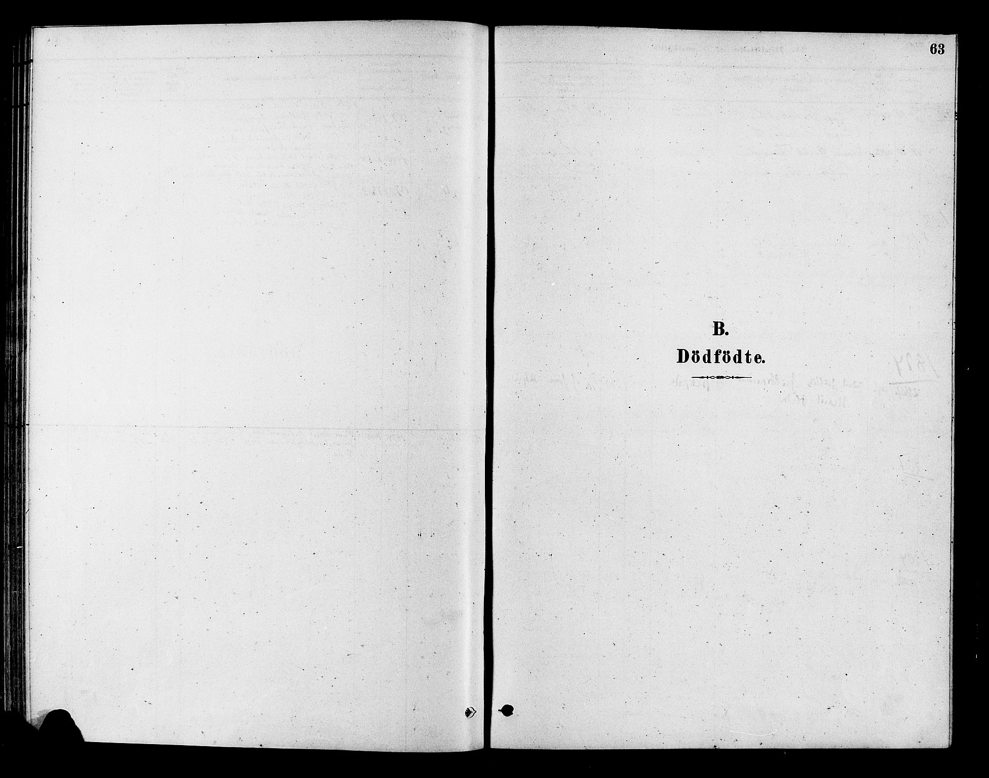 Flesberg kirkebøker, SAKO/A-18/F/Fc/L0001: Parish register (official) no. III 1, 1879-1905, p. 63