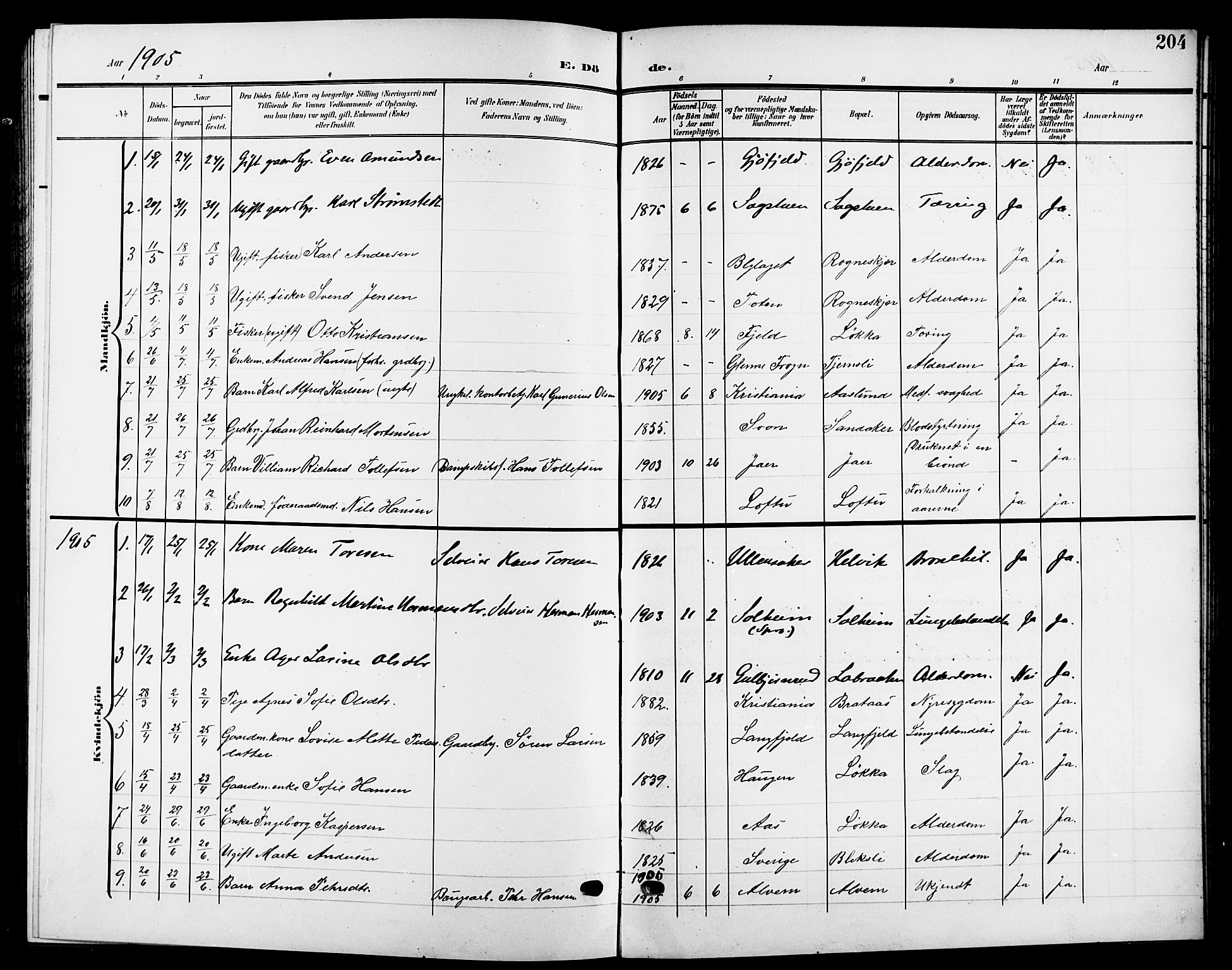 Nesodden prestekontor Kirkebøker, SAO/A-10013/G/Ga/L0002: Parish register (copy) no. I 2, 1905-1924, p. 204