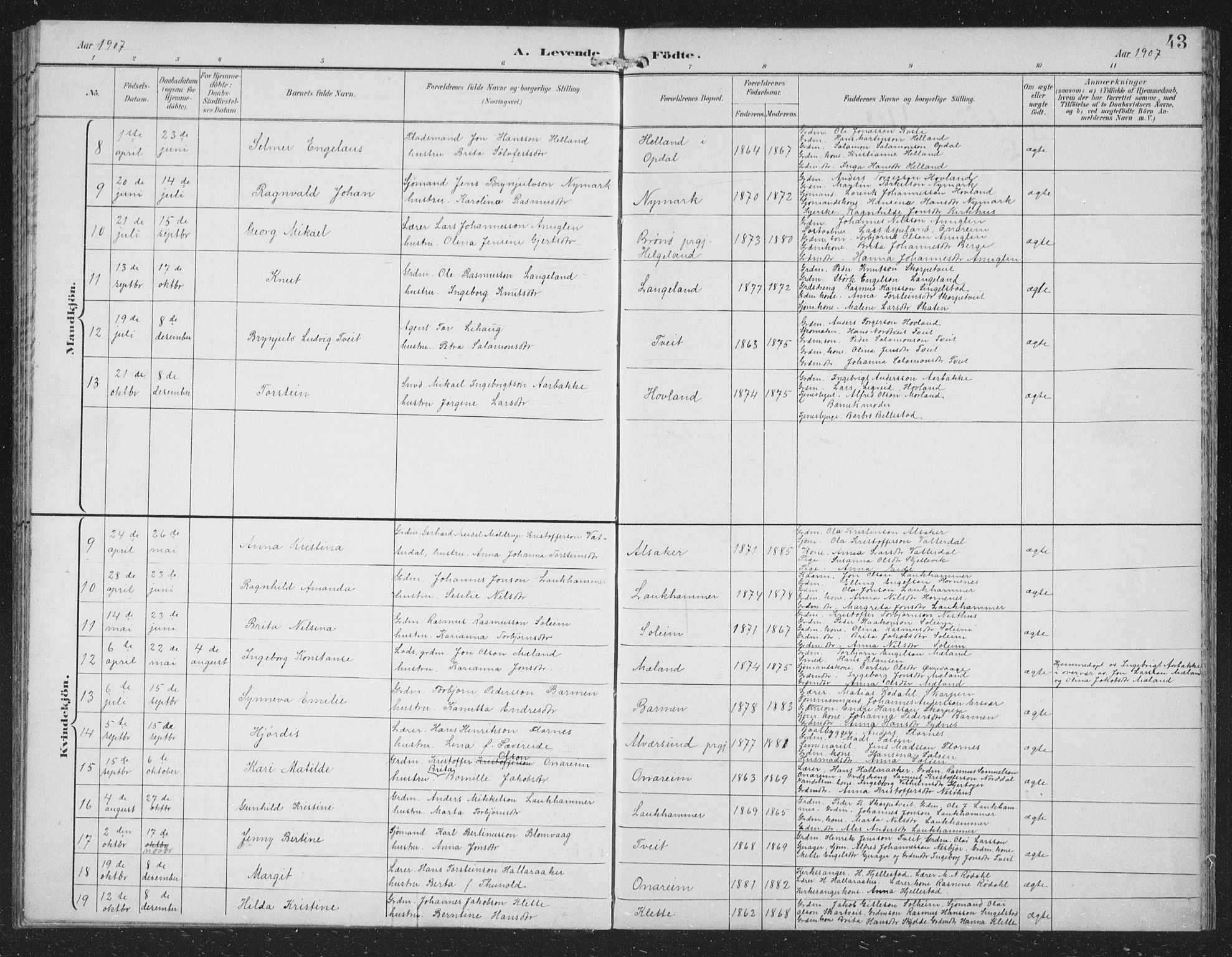 Tysnes sokneprestembete, AV/SAB-A-78601/H/Hab: Parish register (copy) no. C 2, 1896-1907, p. 43