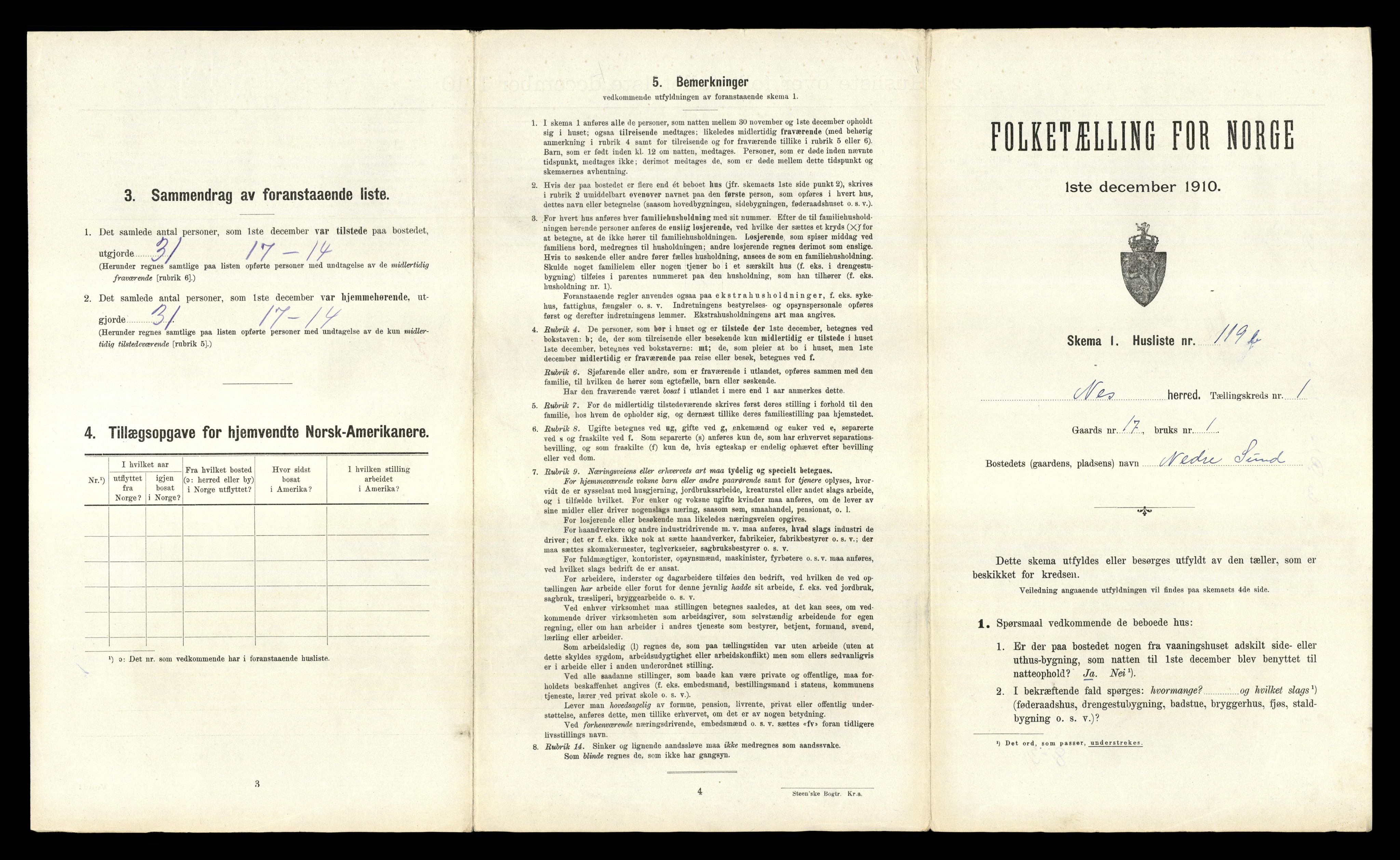 RA, 1910 census for Nes, 1910, p. 283