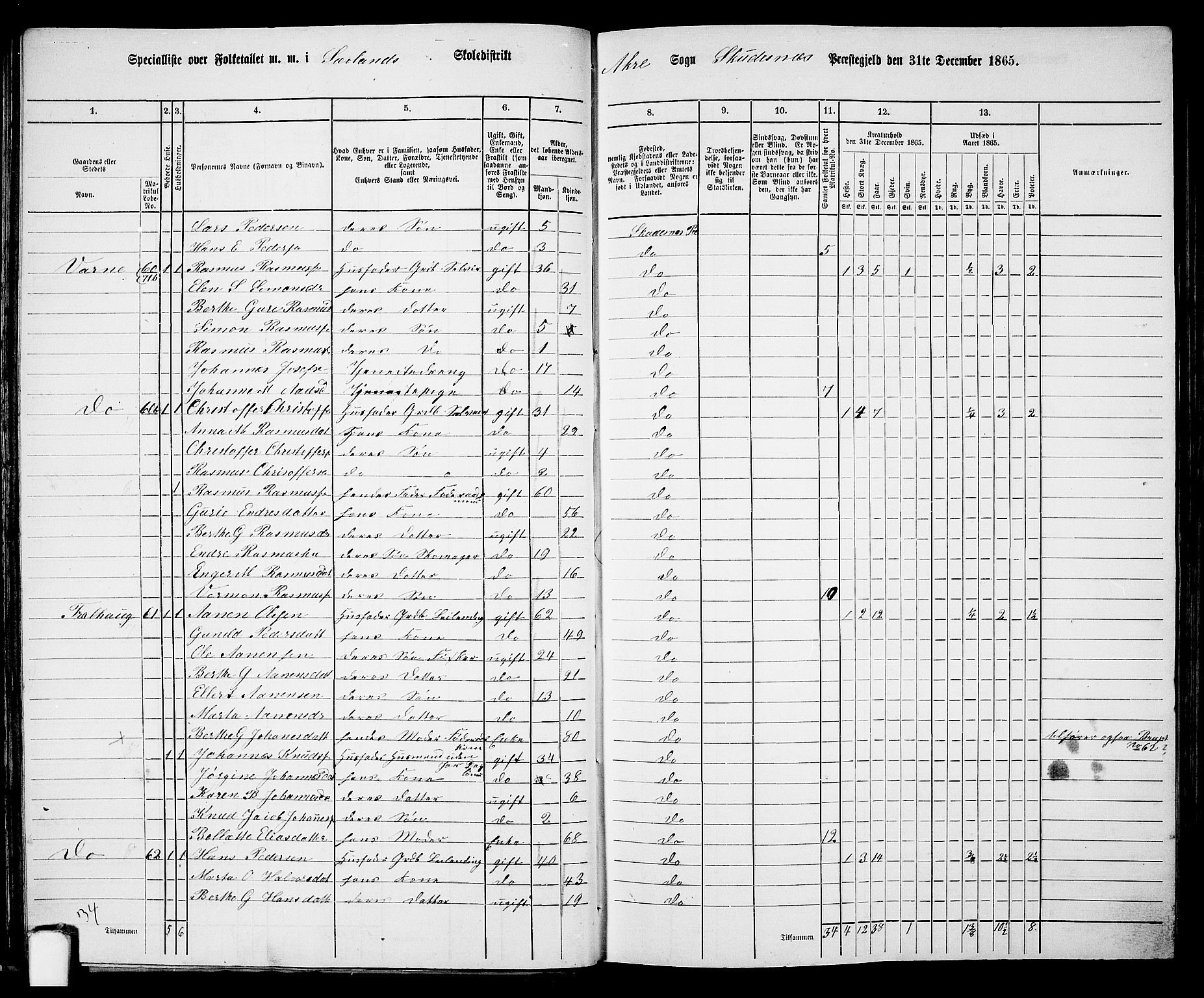 RA, 1865 census for Skudenes, 1865, p. 36