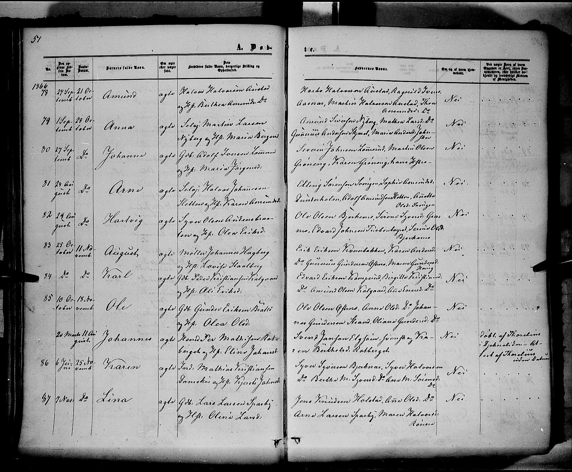 Hof prestekontor, AV/SAH-PREST-038/H/Ha/Haa/L0009: Parish register (official) no. 9, 1862-1877, p. 51