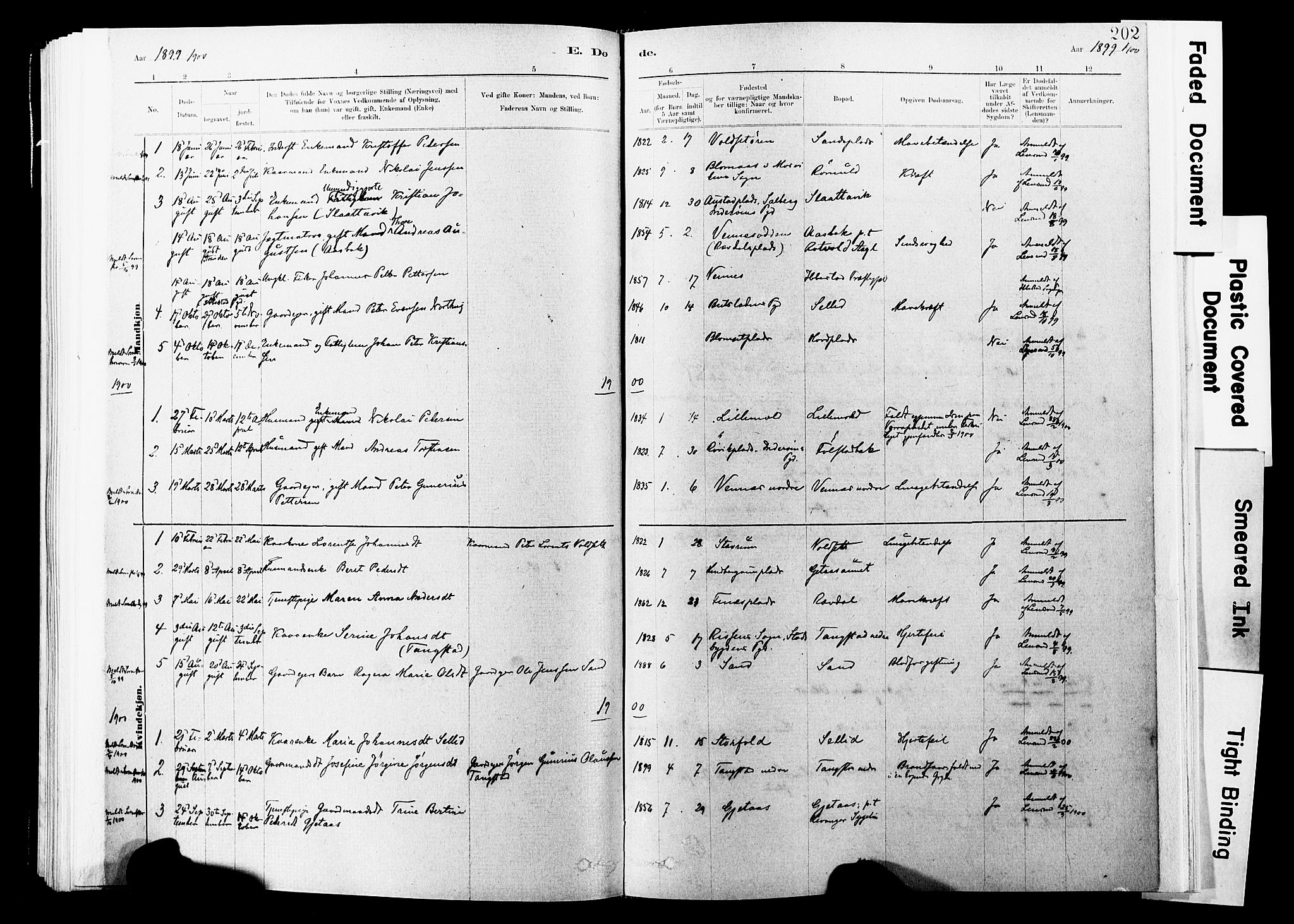 Ministerialprotokoller, klokkerbøker og fødselsregistre - Nord-Trøndelag, SAT/A-1458/744/L0420: Parish register (official) no. 744A04, 1882-1904, p. 202