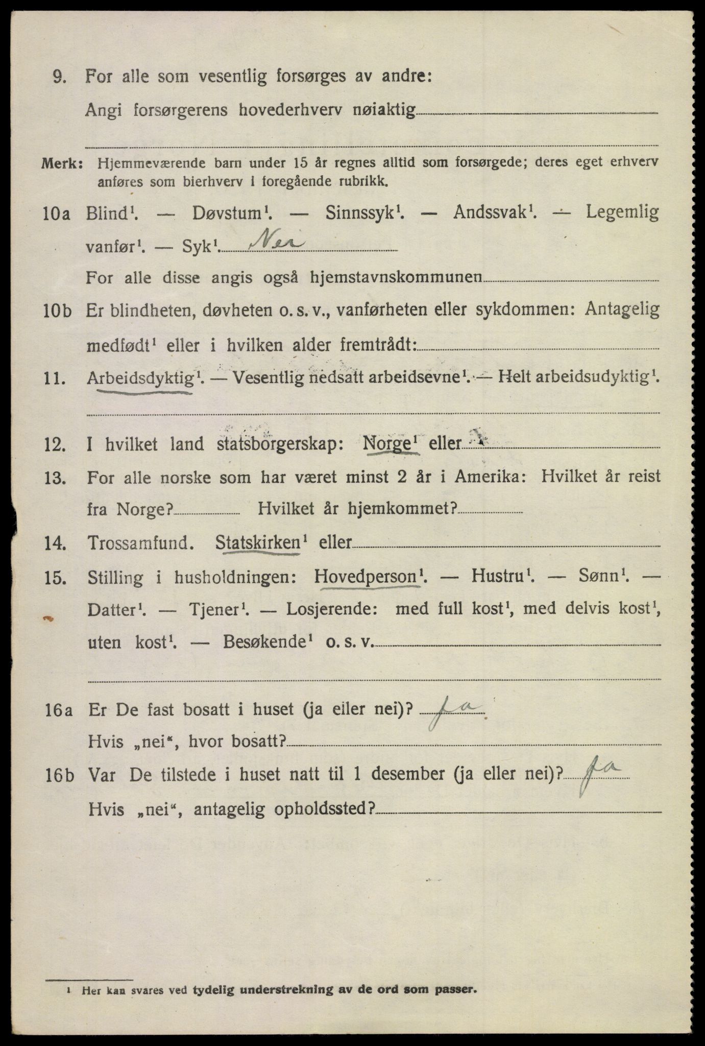 SAKO, 1920 census for Flesberg, 1920, p. 3982