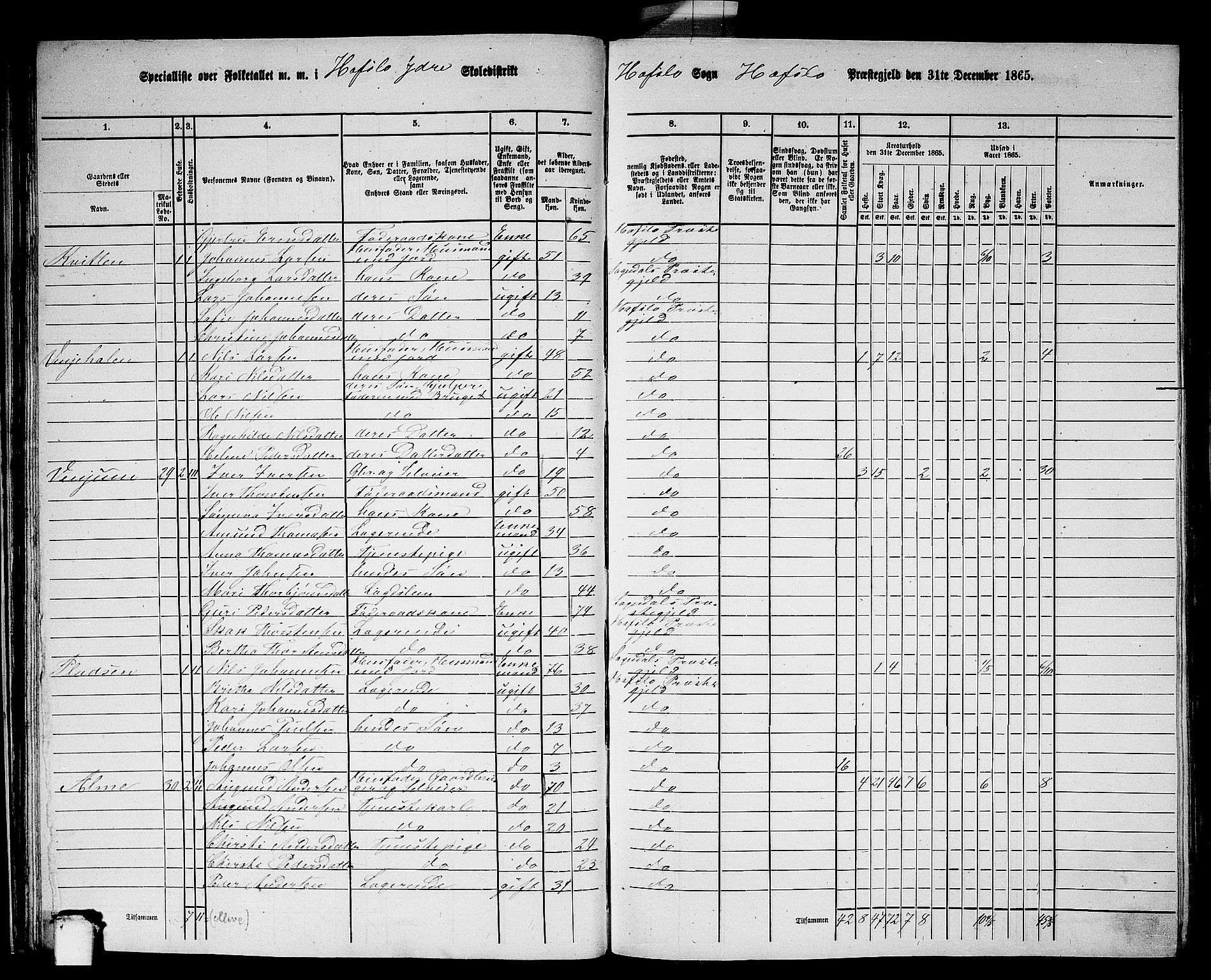 RA, 1865 census for Hafslo, 1865, p. 31