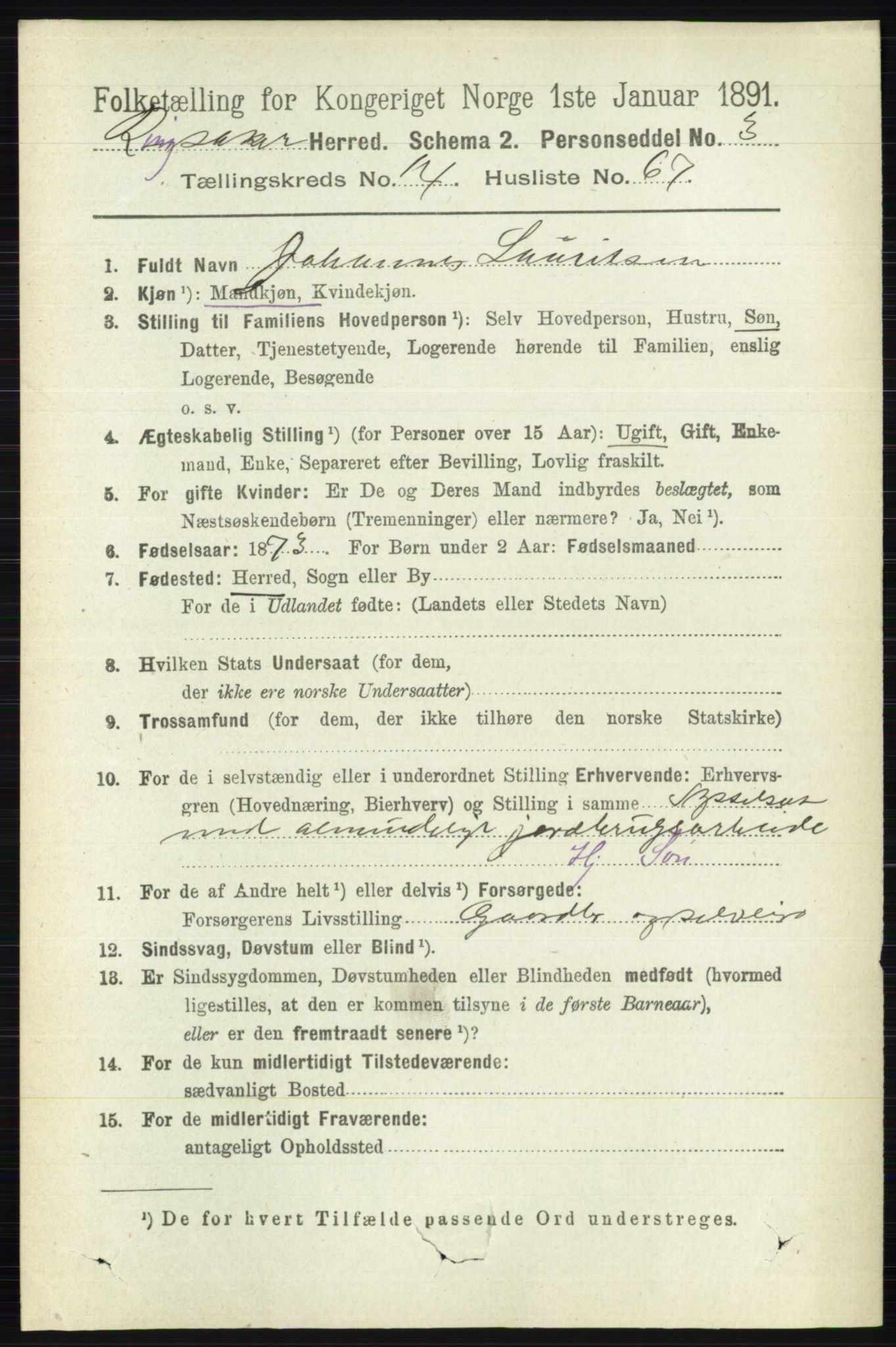 RA, 1891 census for 0412 Ringsaker, 1891, p. 8227