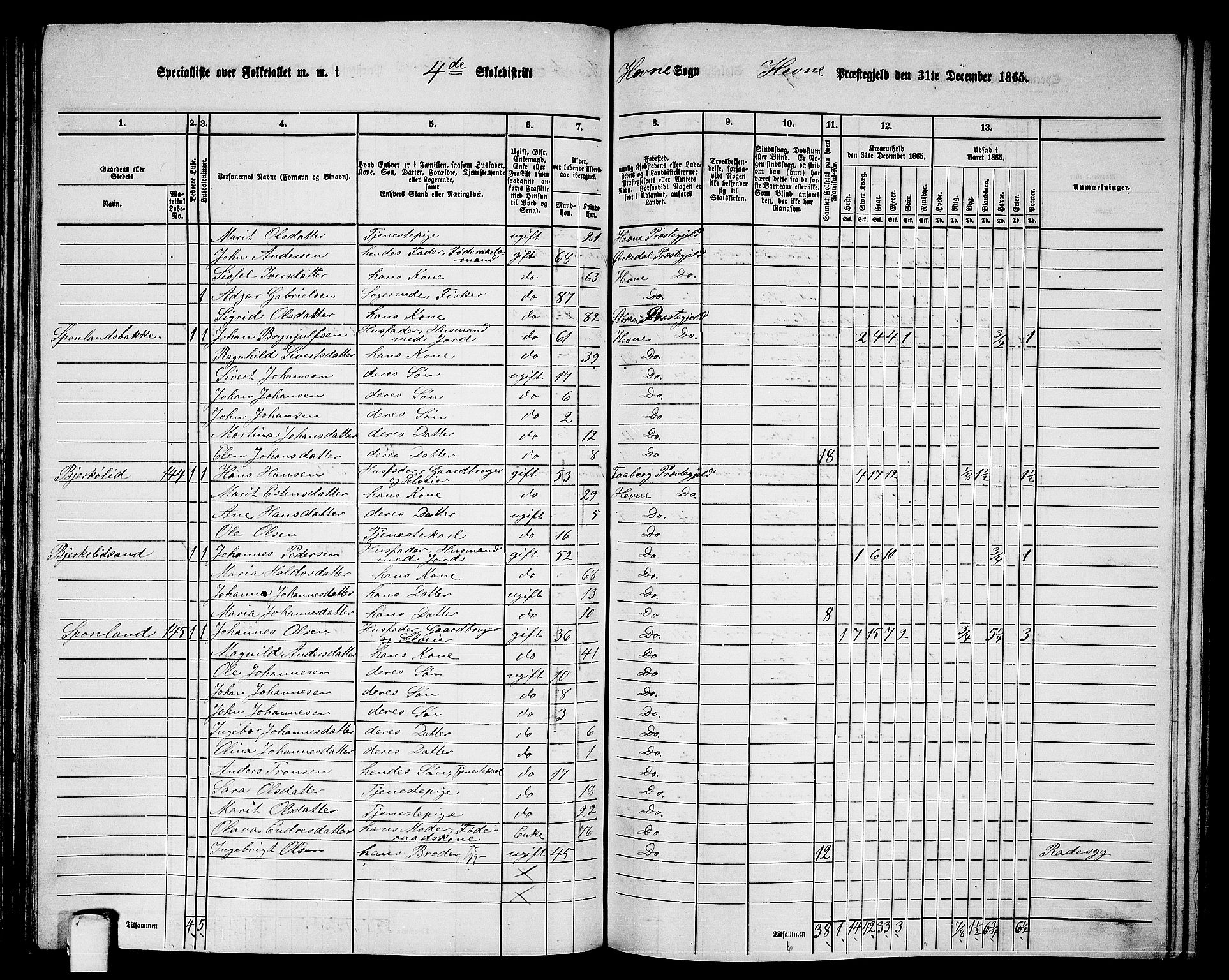 RA, 1865 census for Hemne, 1865, p. 102