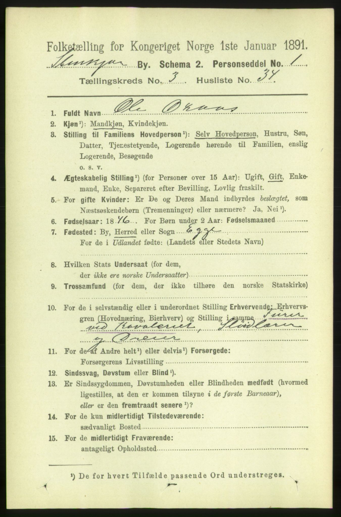 RA, 1891 census for 1702 Steinkjer, 1891, p. 1139