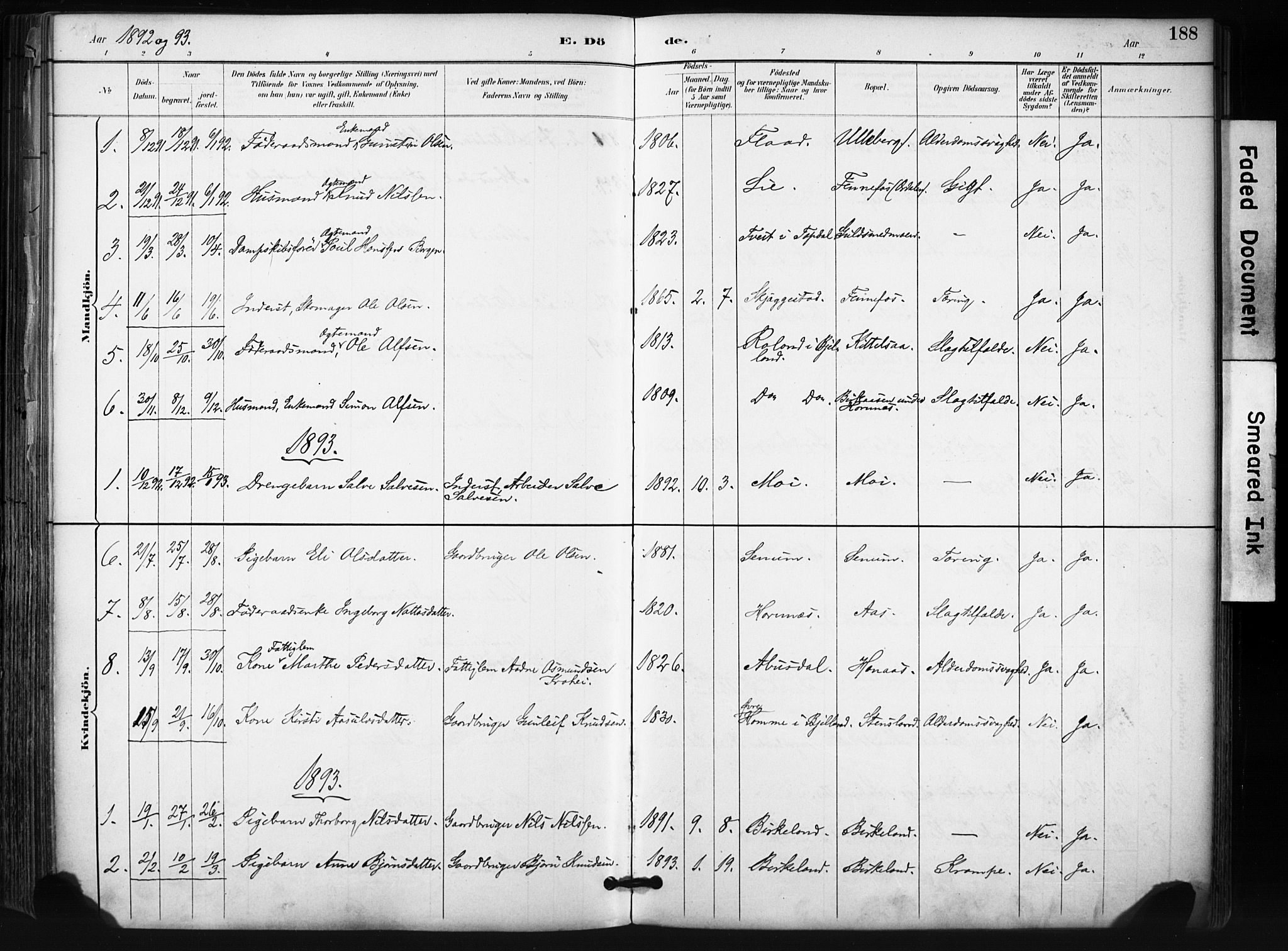 Evje sokneprestkontor, SAK/1111-0008/F/Fa/Fab/L0003: Parish register (official) no. A 3, 1884-1909, p. 188