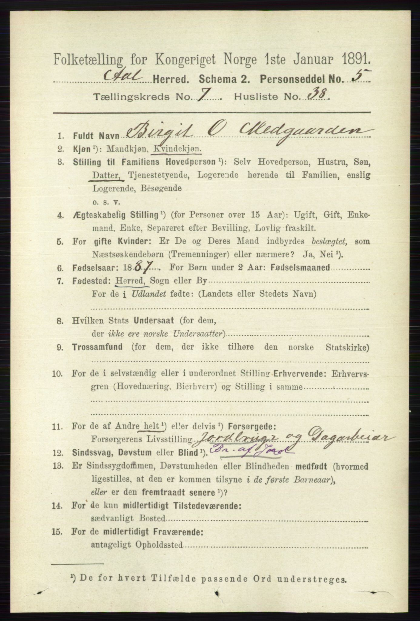 RA, 1891 census for 0619 Ål, 1891, p. 1994