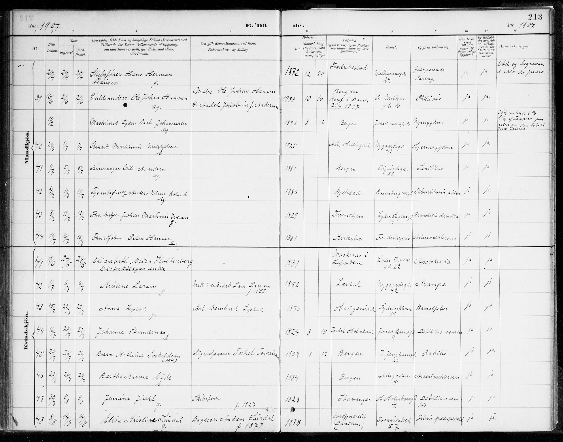 Johanneskirken sokneprestembete, SAB/A-76001/H/Haa/L0019: Parish register (official) no. E 1, 1885-1915, p. 213