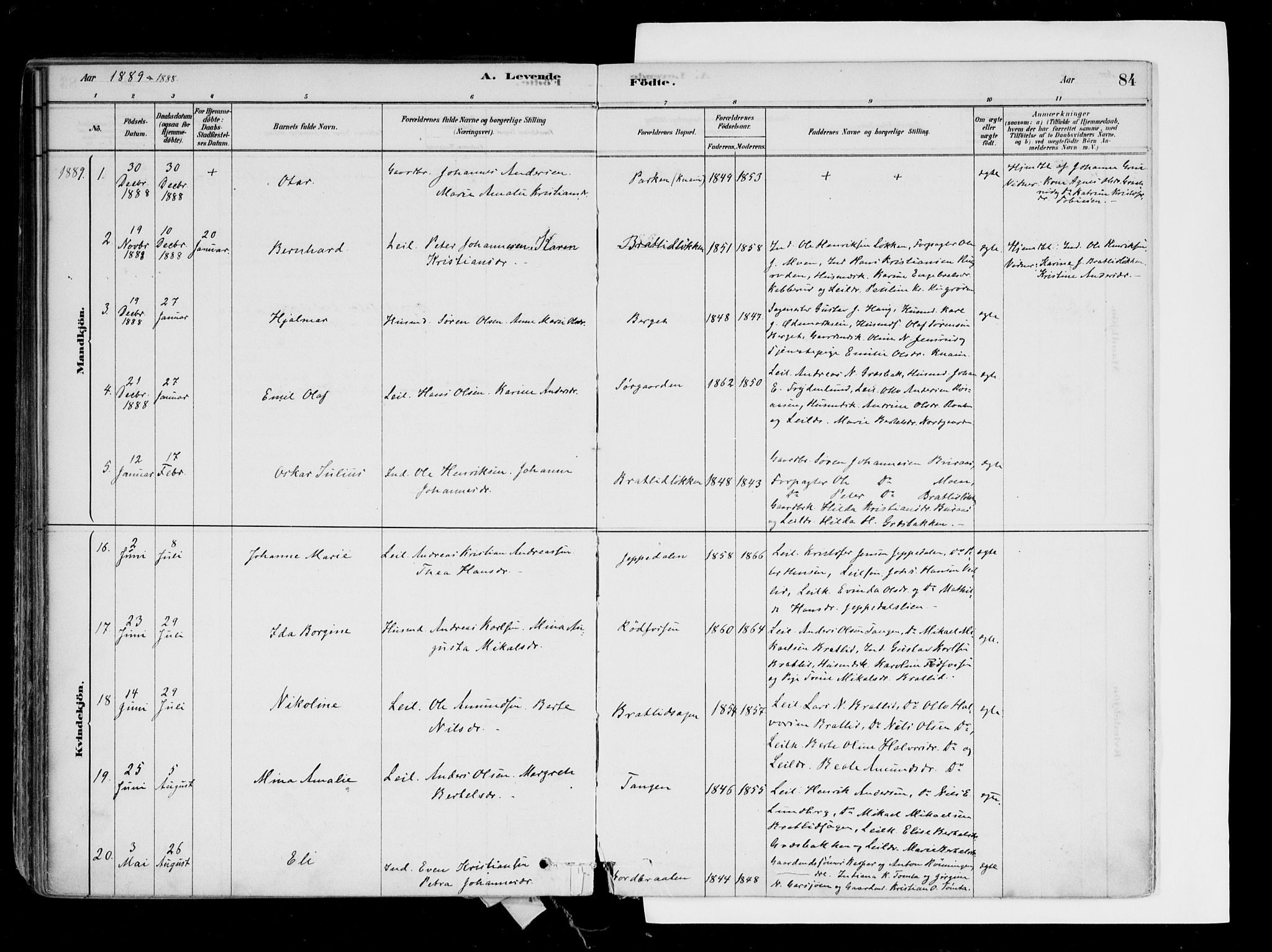 Hurdal prestekontor Kirkebøker, SAO/A-10889/F/Fa/L0007: Parish register (official) no. I 7, 1878-1906, p. 84