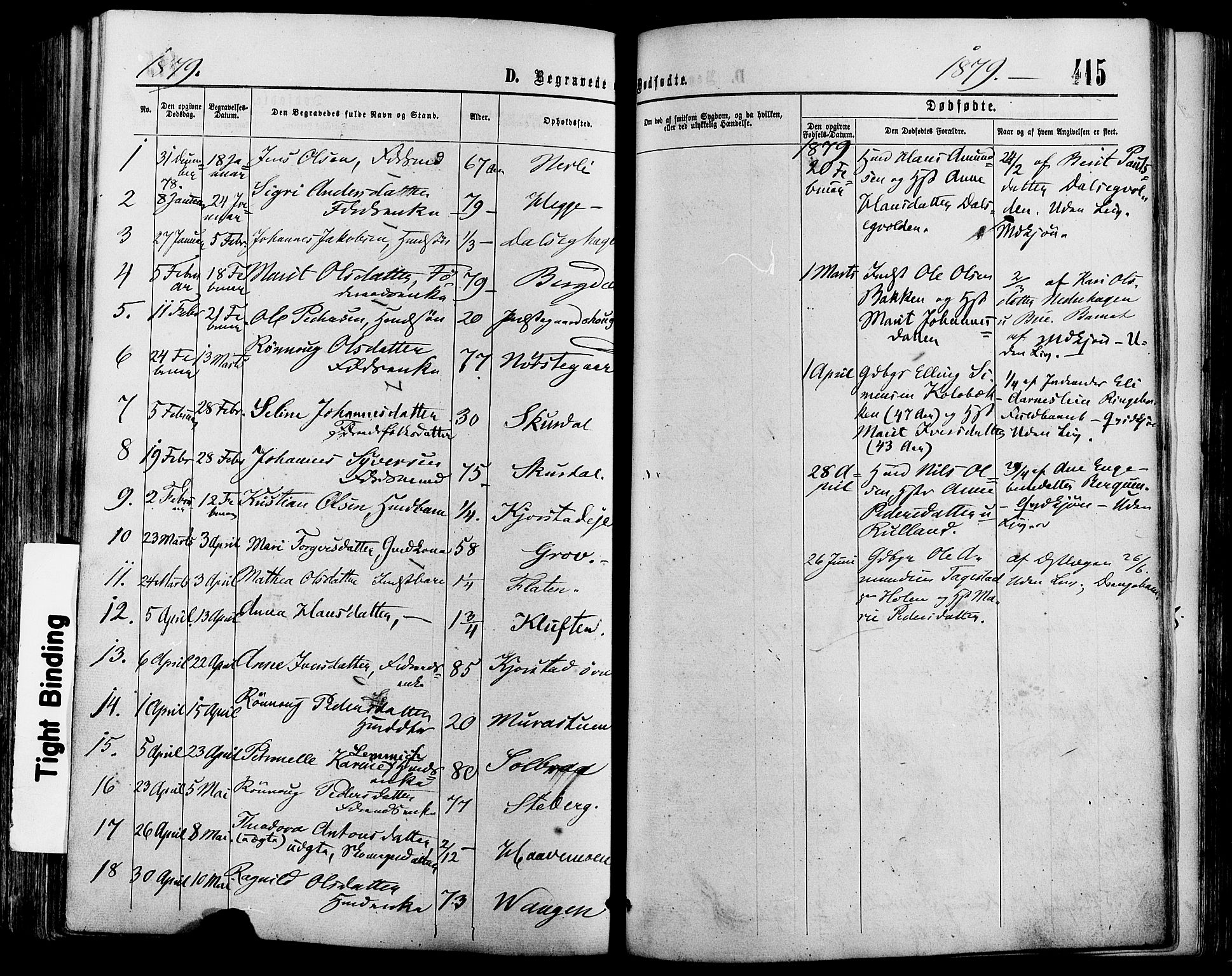 Sør-Fron prestekontor, SAH/PREST-010/H/Ha/Haa/L0002: Parish register (official) no. 2, 1864-1880, p. 415