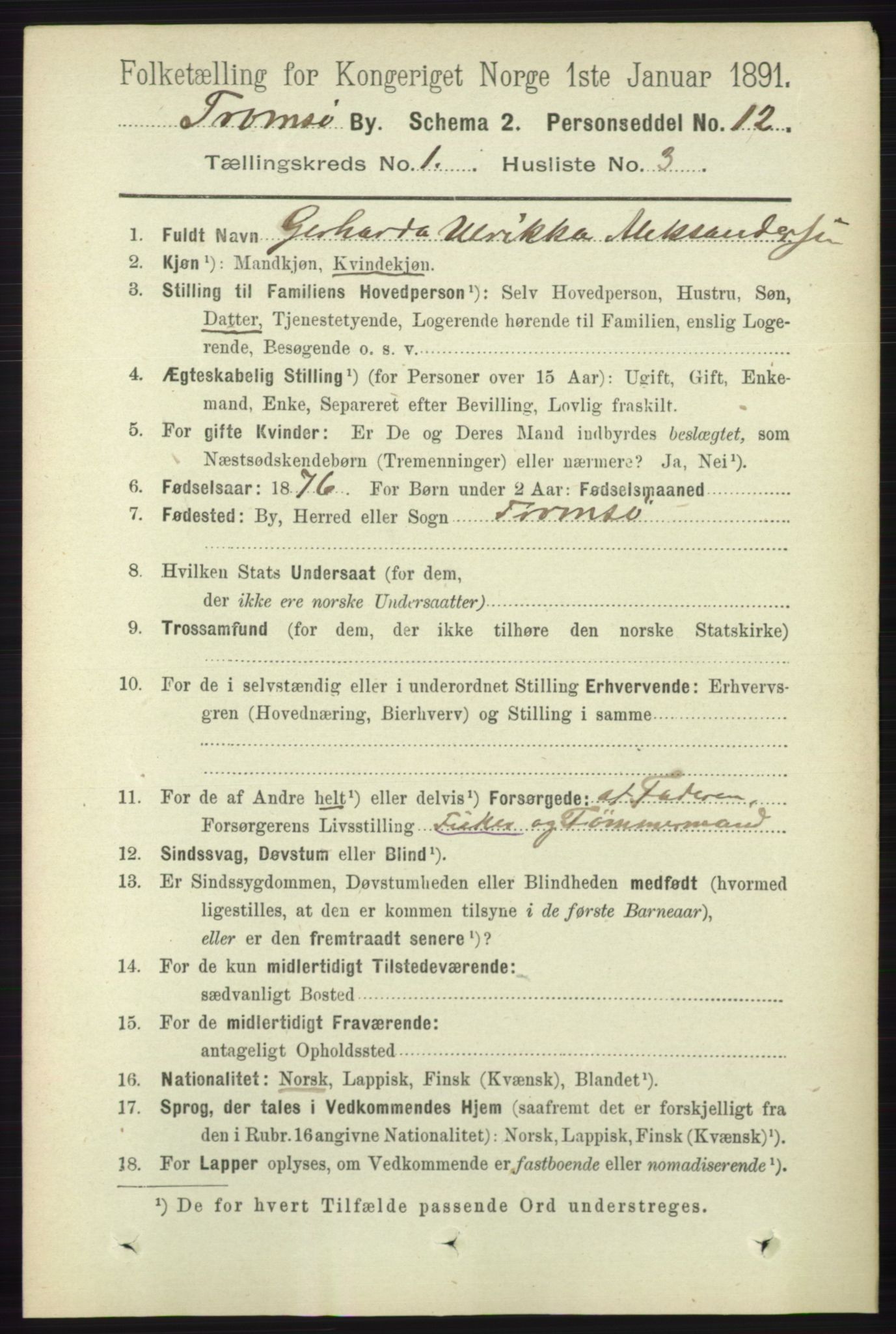 RA, 1891 census for 1902 Tromsø, 1891, p. 311