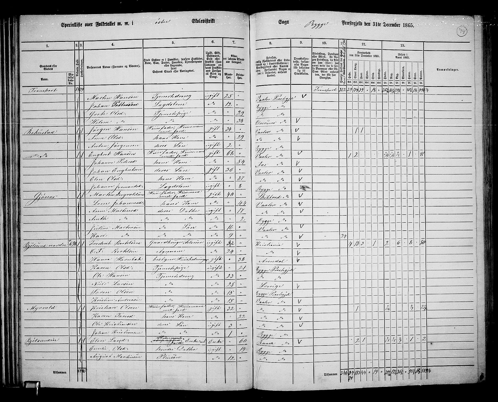 RA, 1865 census for Rygge, 1865, p. 17