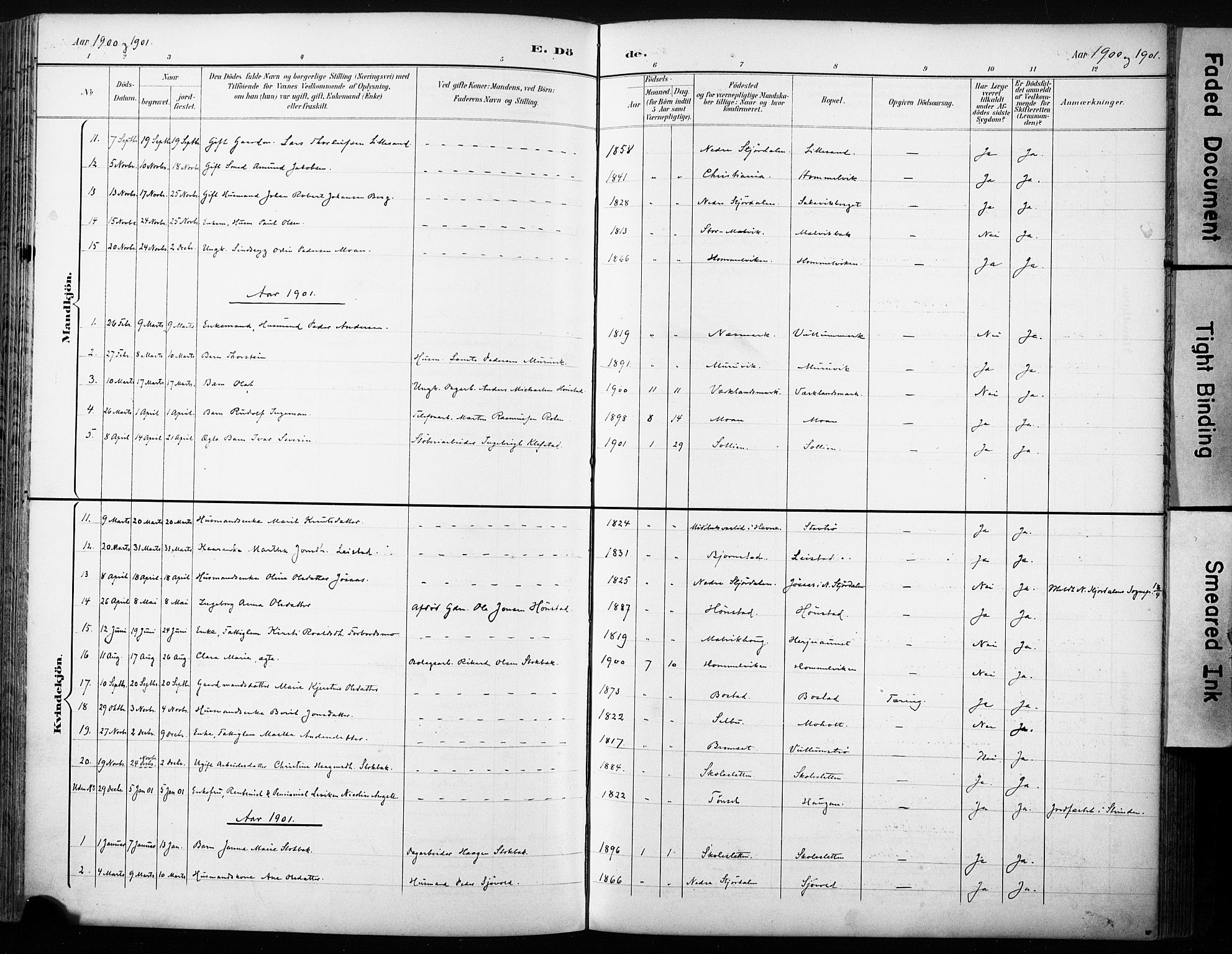 Ministerialprotokoller, klokkerbøker og fødselsregistre - Sør-Trøndelag, AV/SAT-A-1456/616/L0411: Parish register (official) no. 616A08, 1894-1906