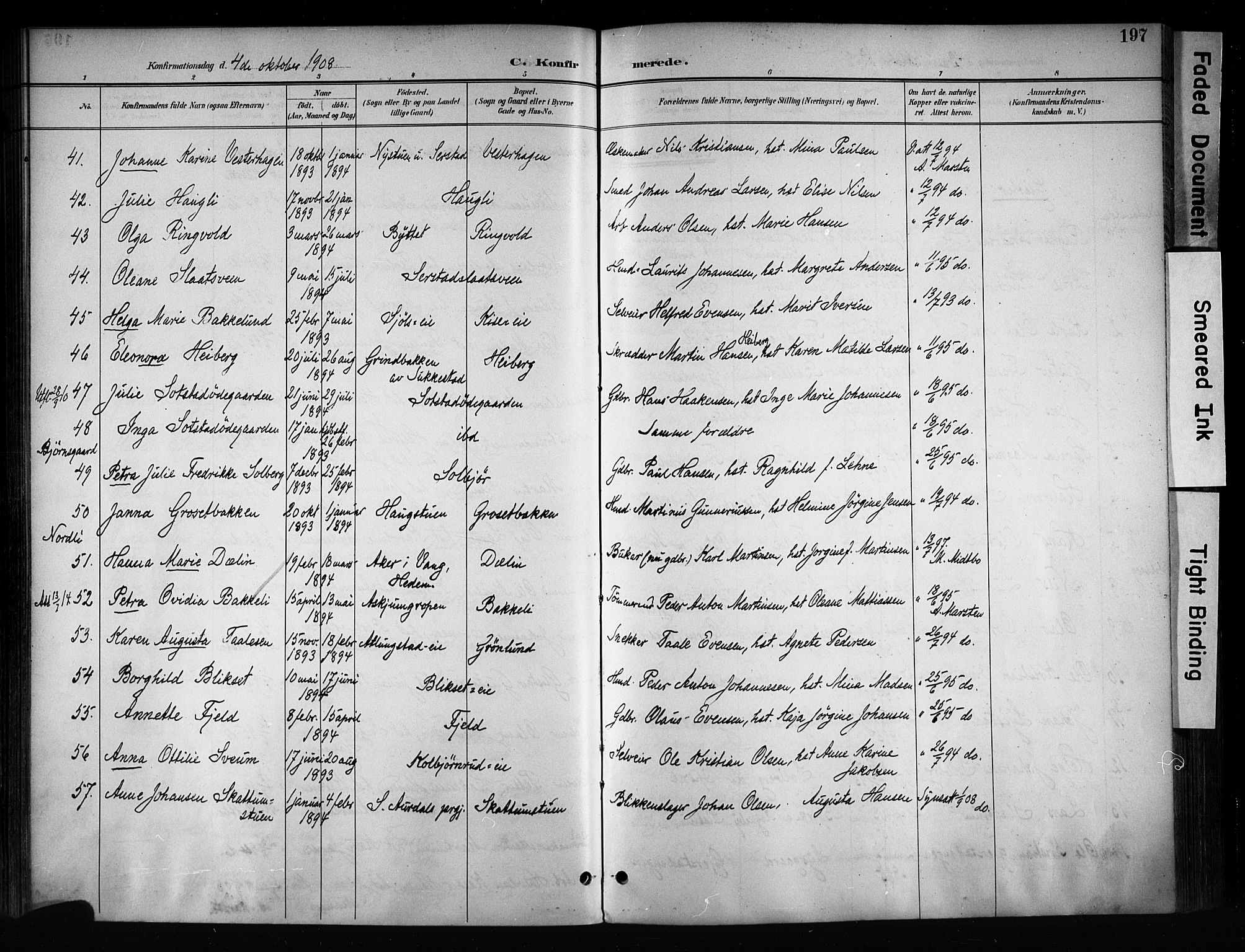 Østre Toten prestekontor, AV/SAH-PREST-104/H/Ha/Haa/L0008: Parish register (official) no. 8, 1897-1909, p. 197