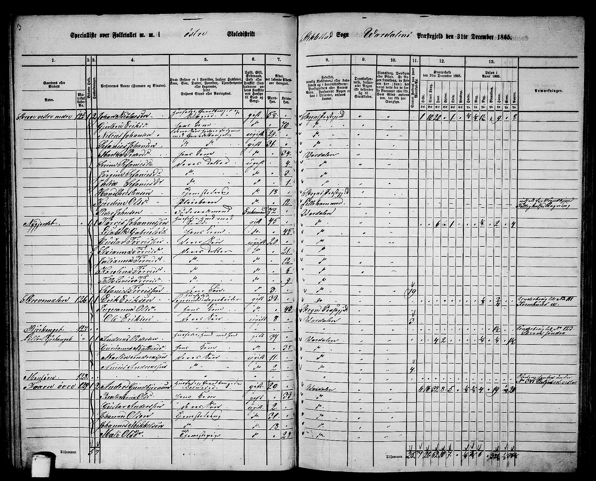 RA, 1865 census for Verdal, 1865, p. 96