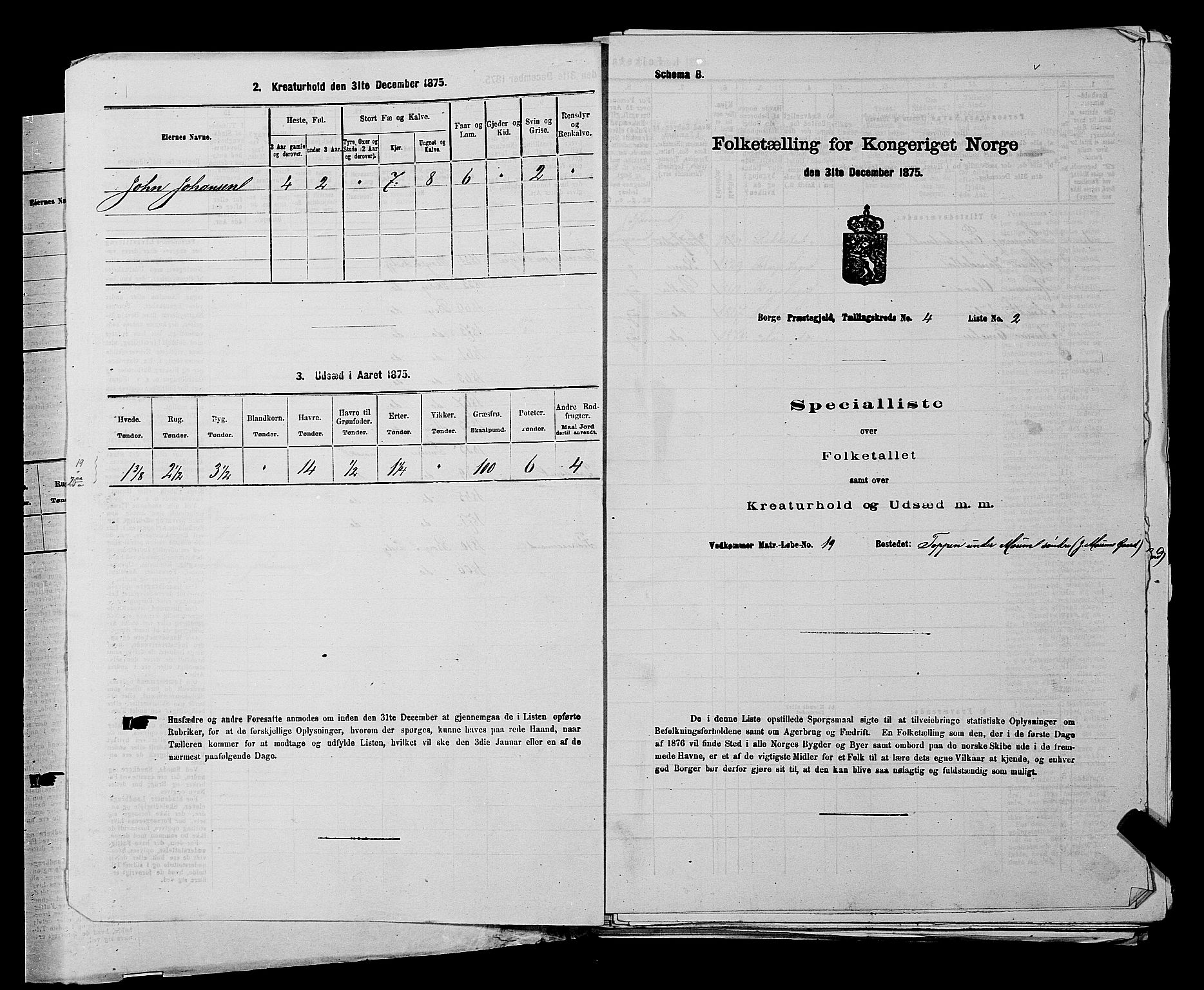 RA, 1875 census for 0113P Borge, 1875, p. 518