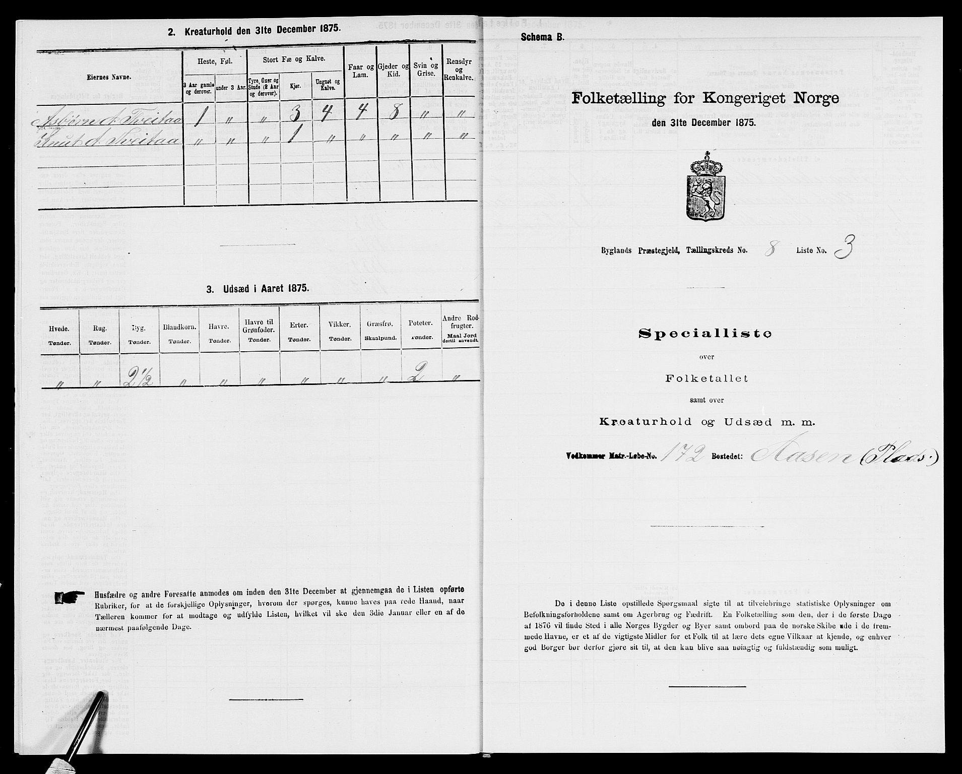 SAK, 1875 census for 0938P Bygland, 1875, p. 694