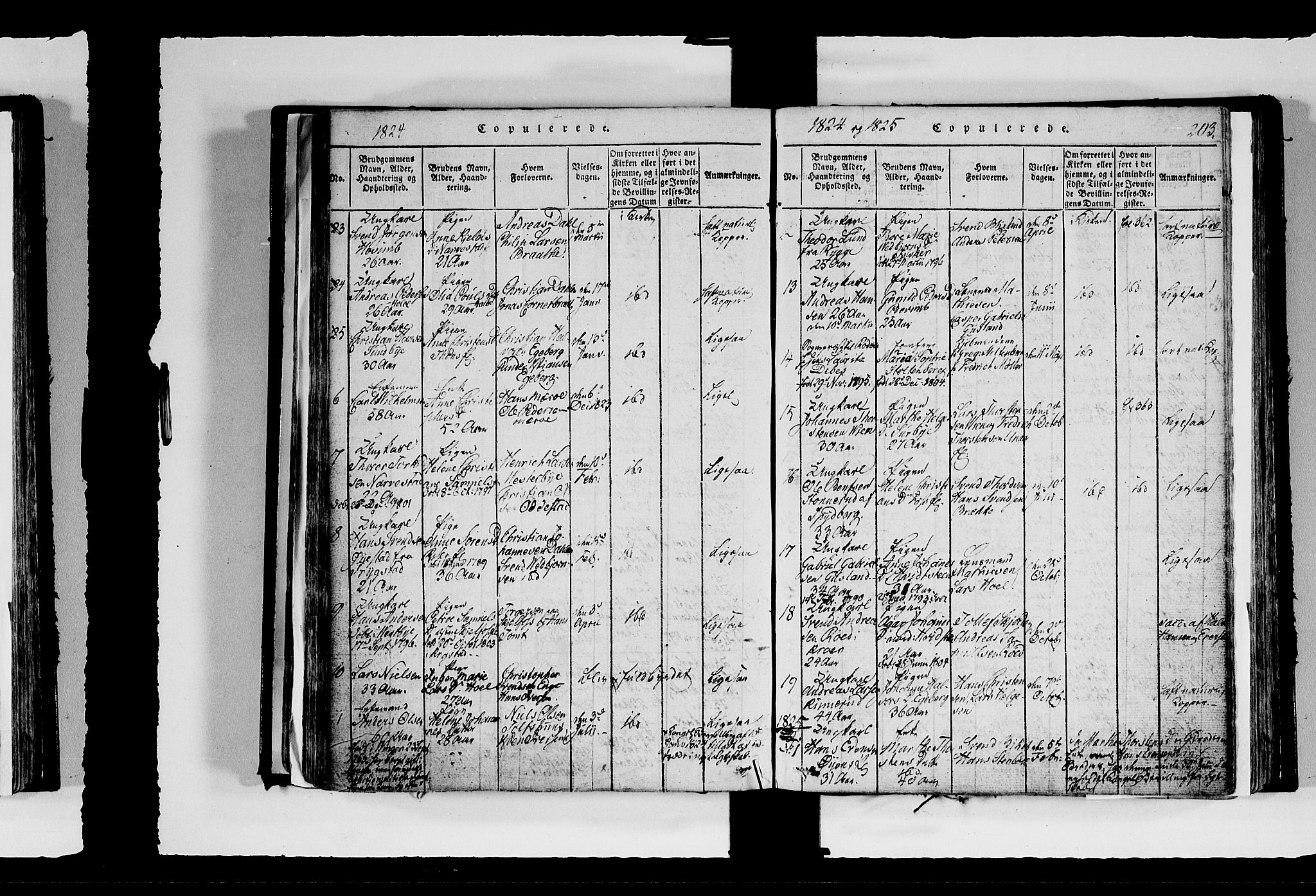 Hobøl prestekontor Kirkebøker, AV/SAO-A-2002/F/Fa/L0002: Parish register (official) no. I 2, 1814-1841, p. 203