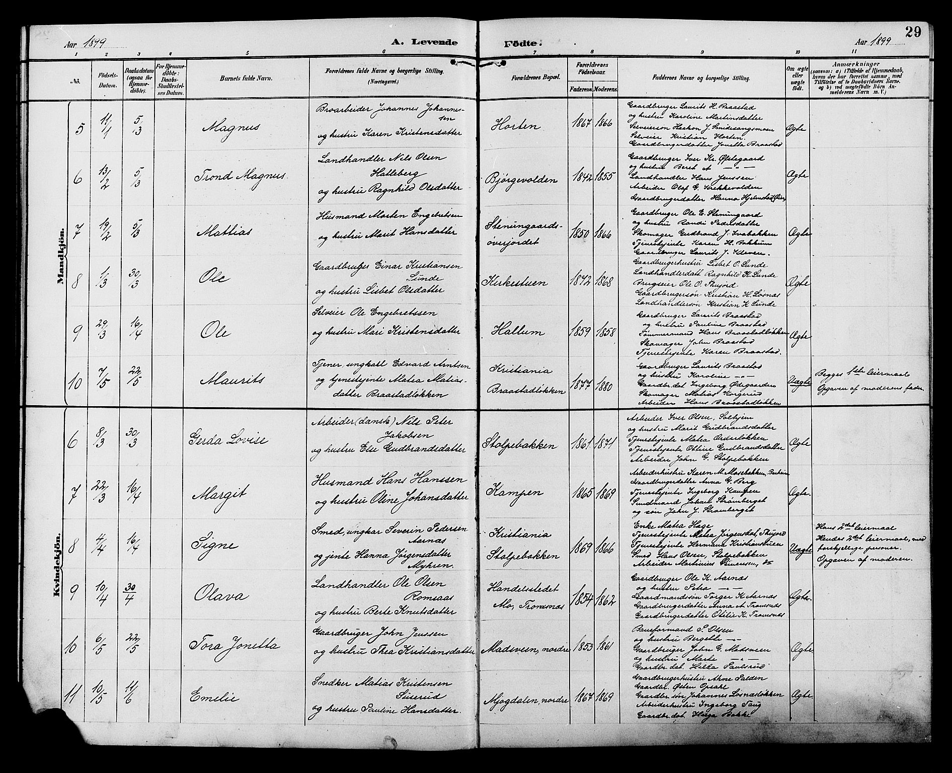 Ringebu prestekontor, AV/SAH-PREST-082/H/Ha/Hab/L0007: Parish register (copy) no. 7, 1890-1910, p. 29