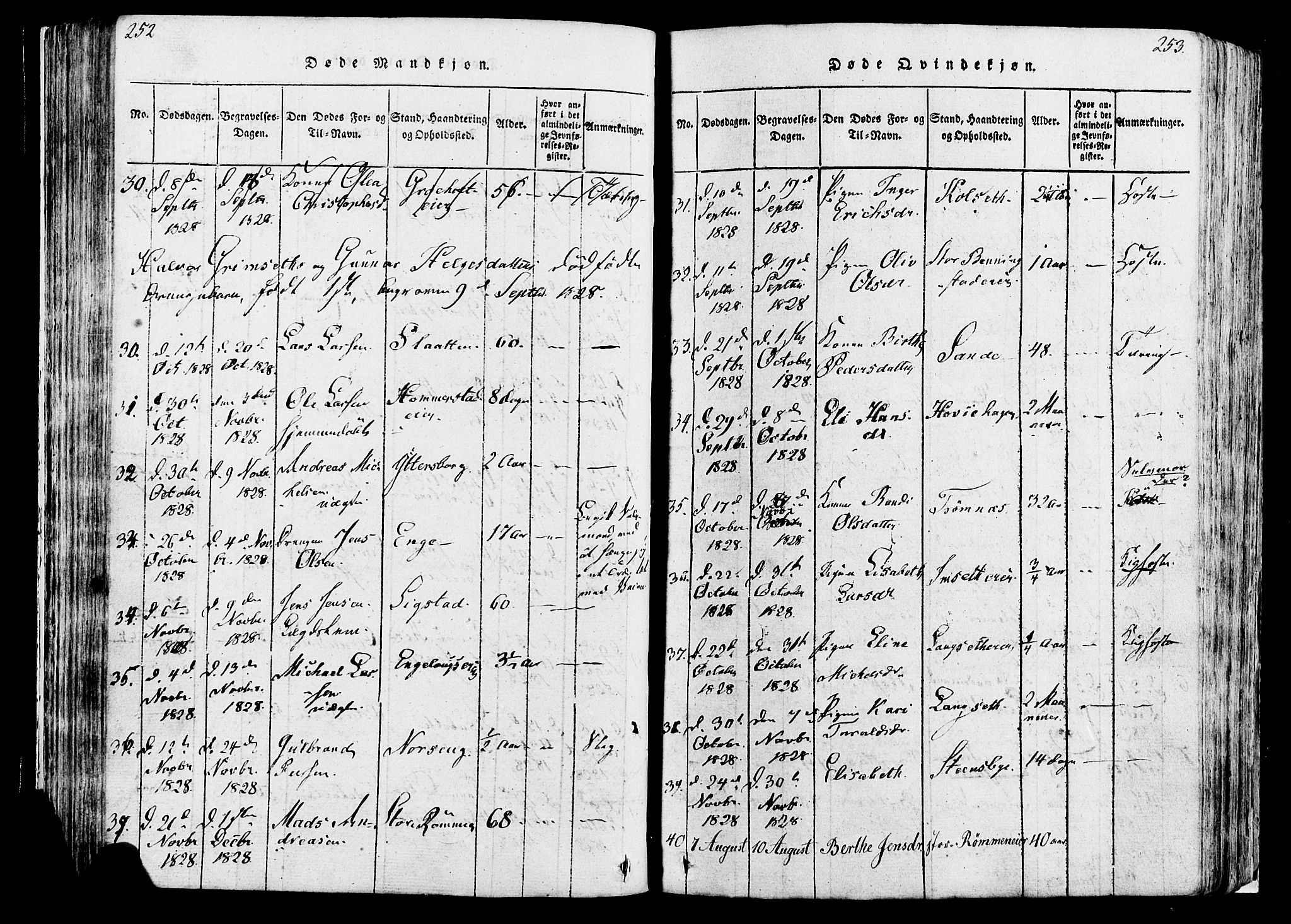Løten prestekontor, SAH/PREST-022/K/Ka/L0005: Parish register (official) no. 5, 1814-1832, p. 252-253