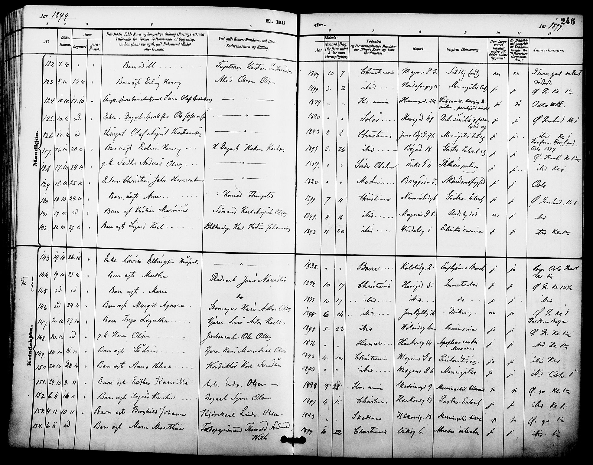 Kampen prestekontor Kirkebøker, AV/SAO-A-10853/F/Fa/L0008: Parish register (official) no. I 8, 1892-1902, p. 246